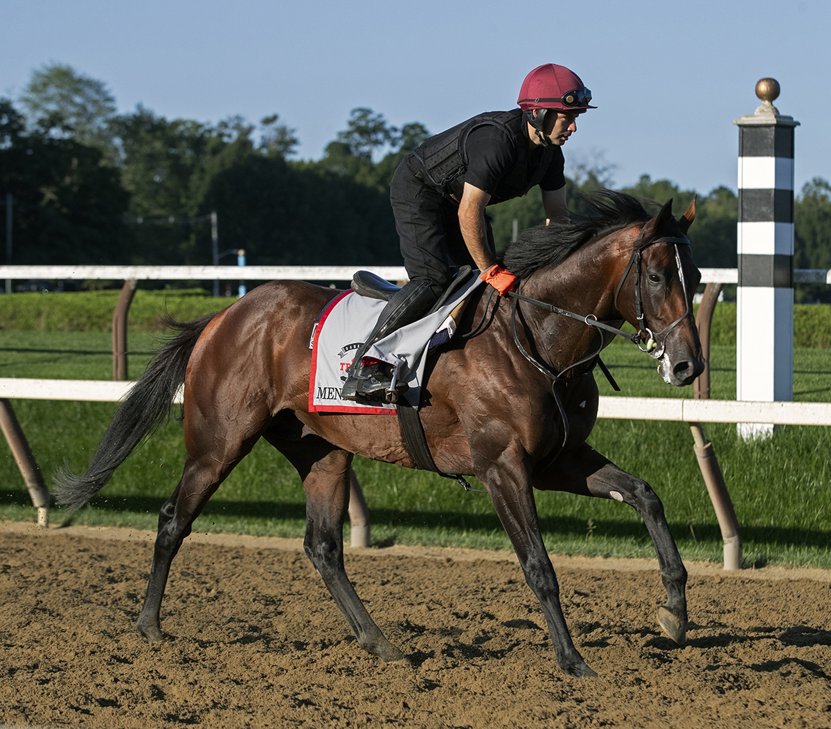 Mendelssohn trains at Saratoga on Aug. 23