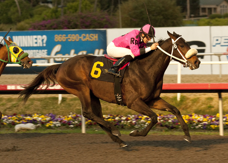 Mensa Heat 12-18-2011