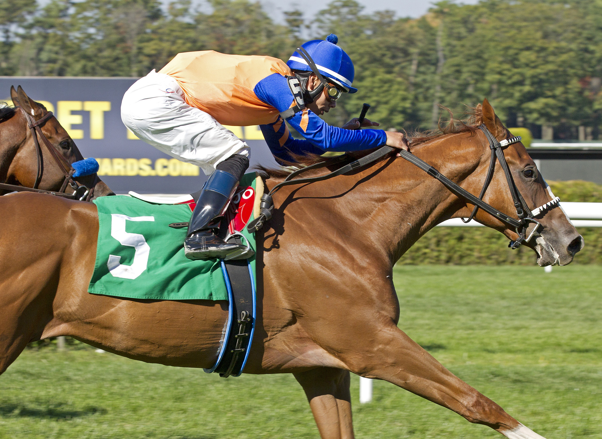 Mental Iceberg wins a maiden race