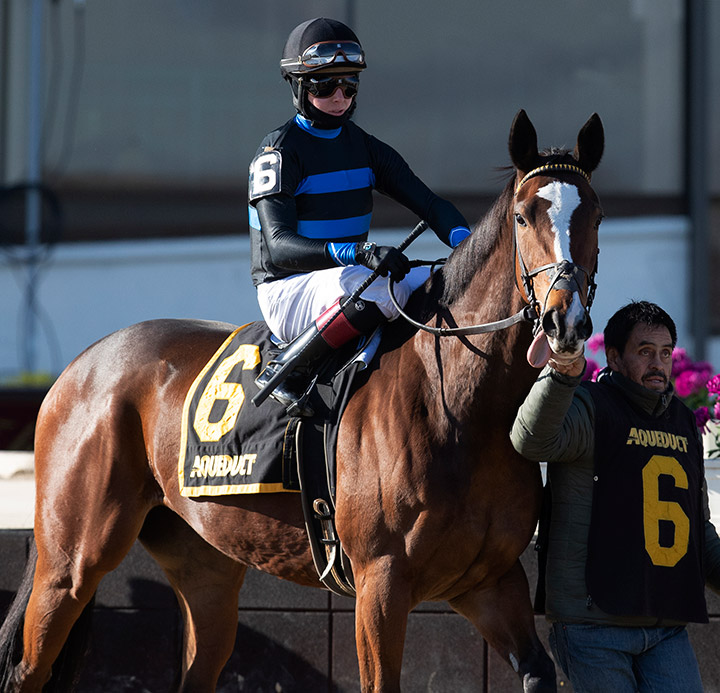 Mentality at Aqueduct in December 2019