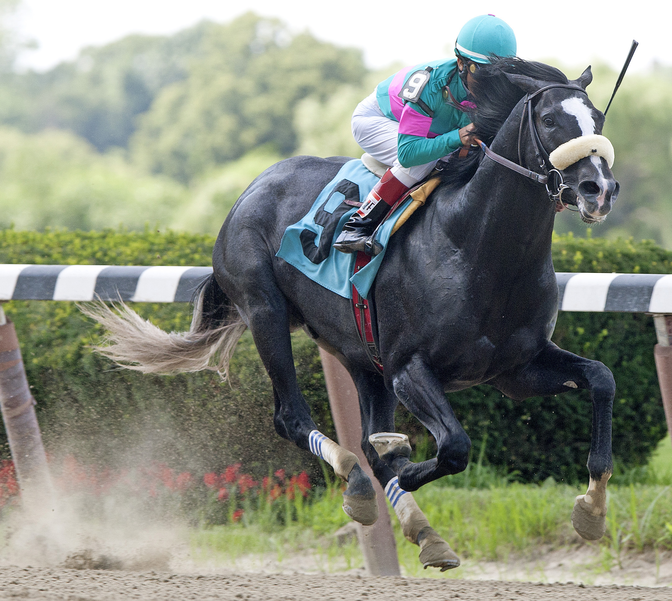 Mentor Cane, maiden win