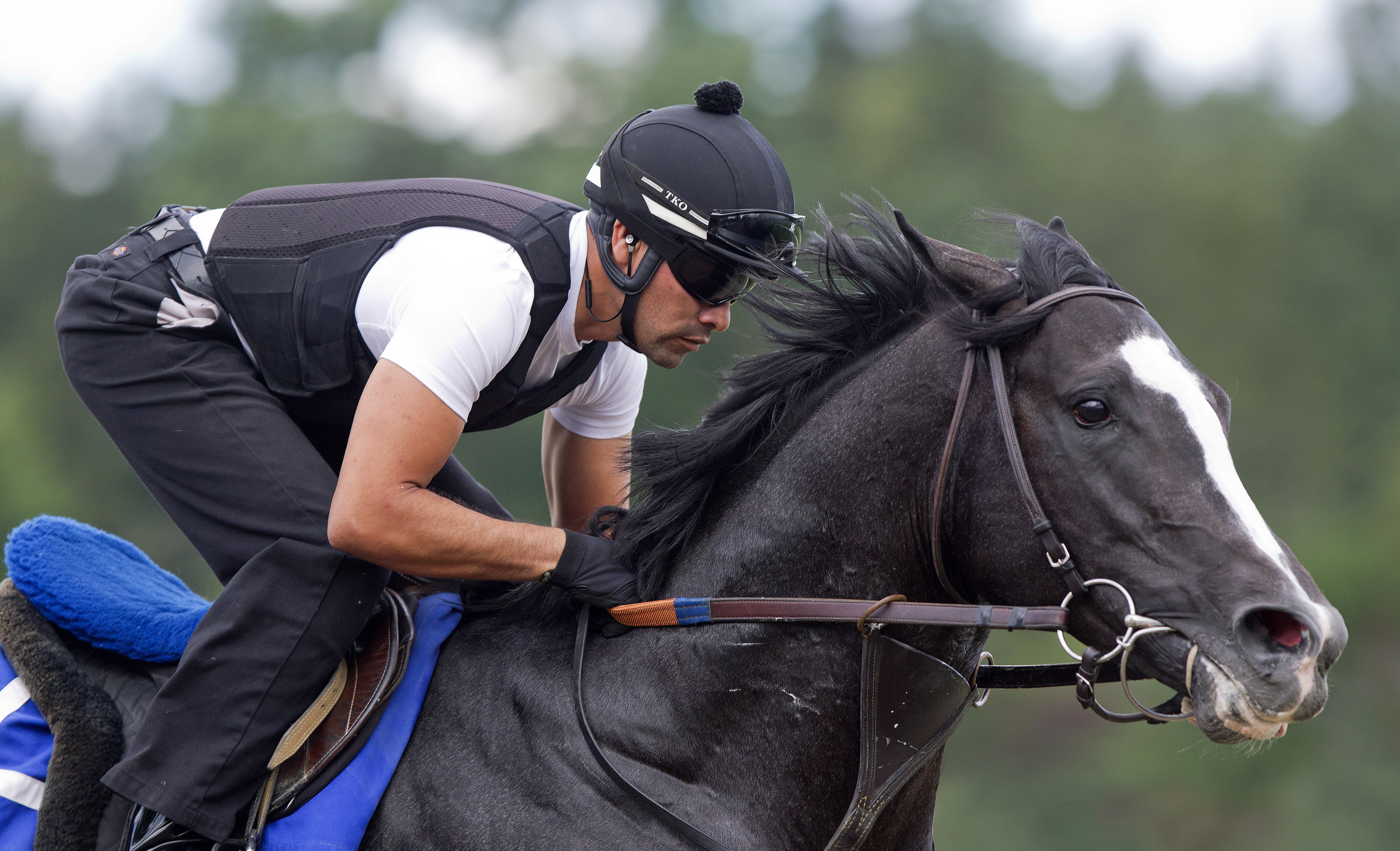 Mentor Cane at Saratoga on July 24