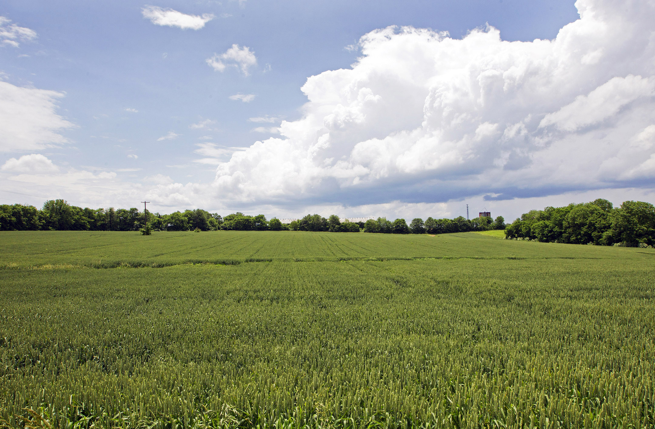 Mereworth Farm property for New Vocations