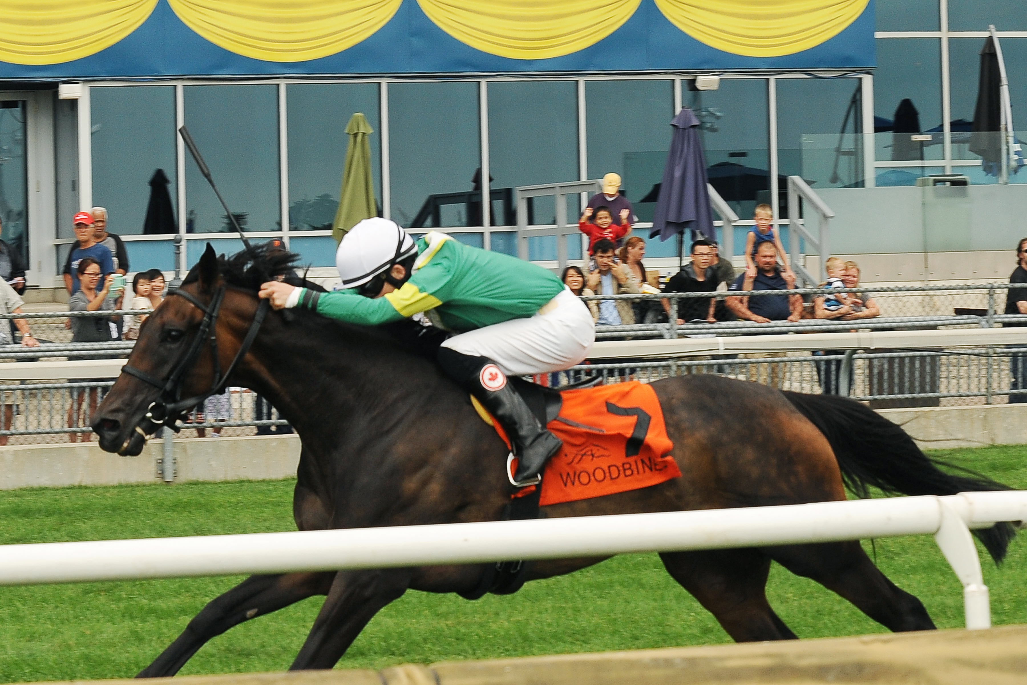 Meri Shika wins the 2014 Flaming Page Stakes