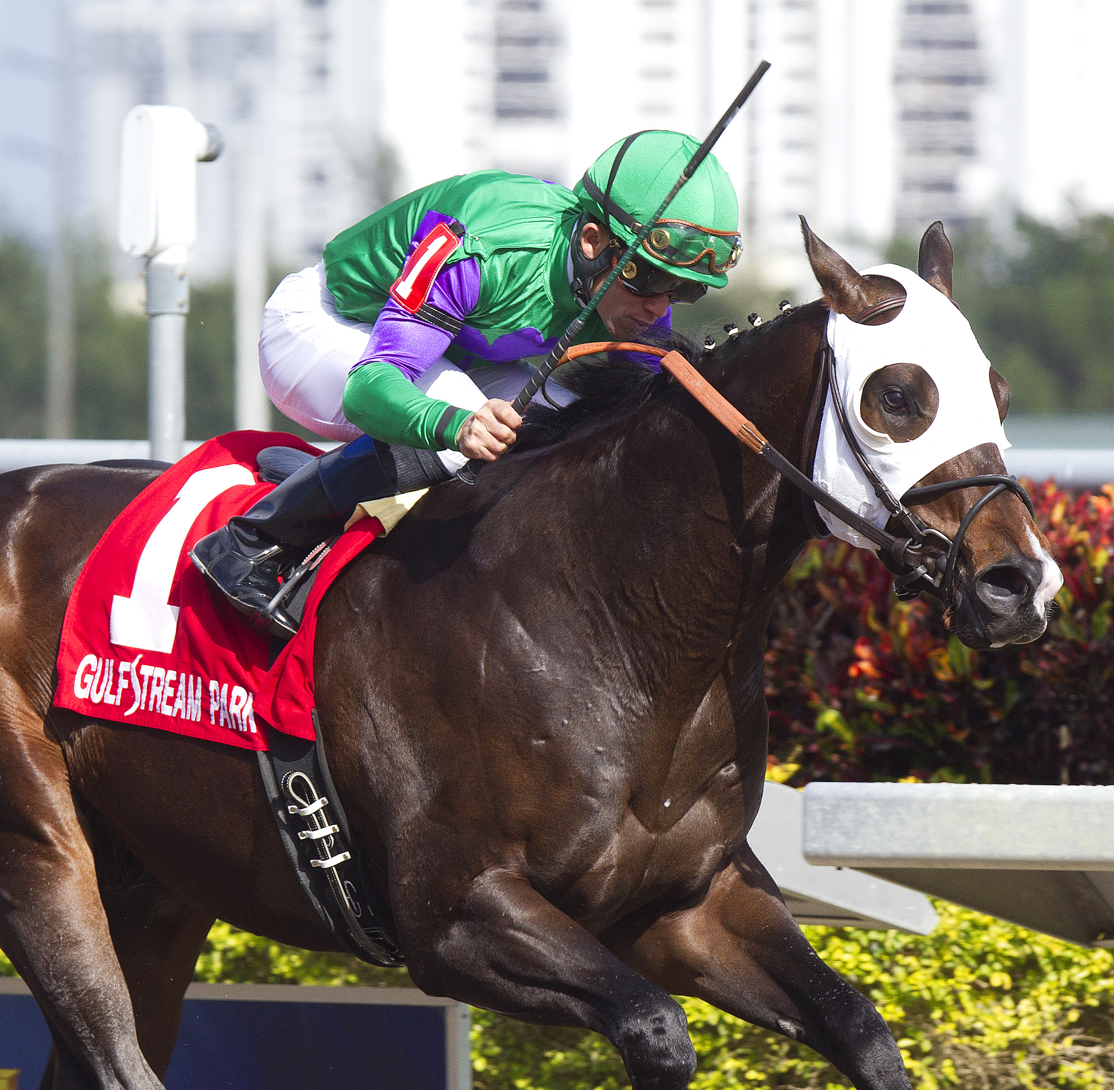 Merit Man/Spectacular Bid