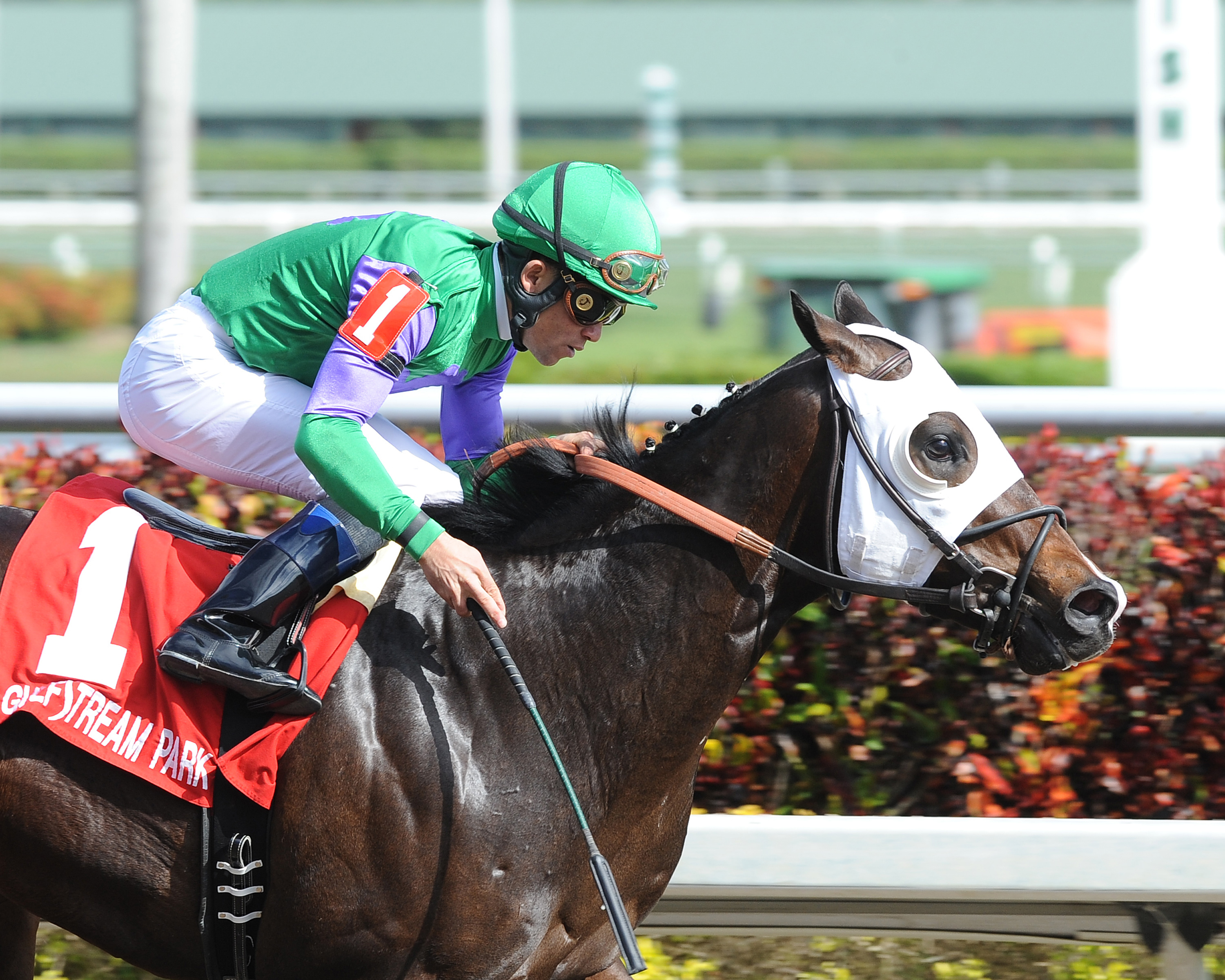 Merit Man, Spectacular Bid