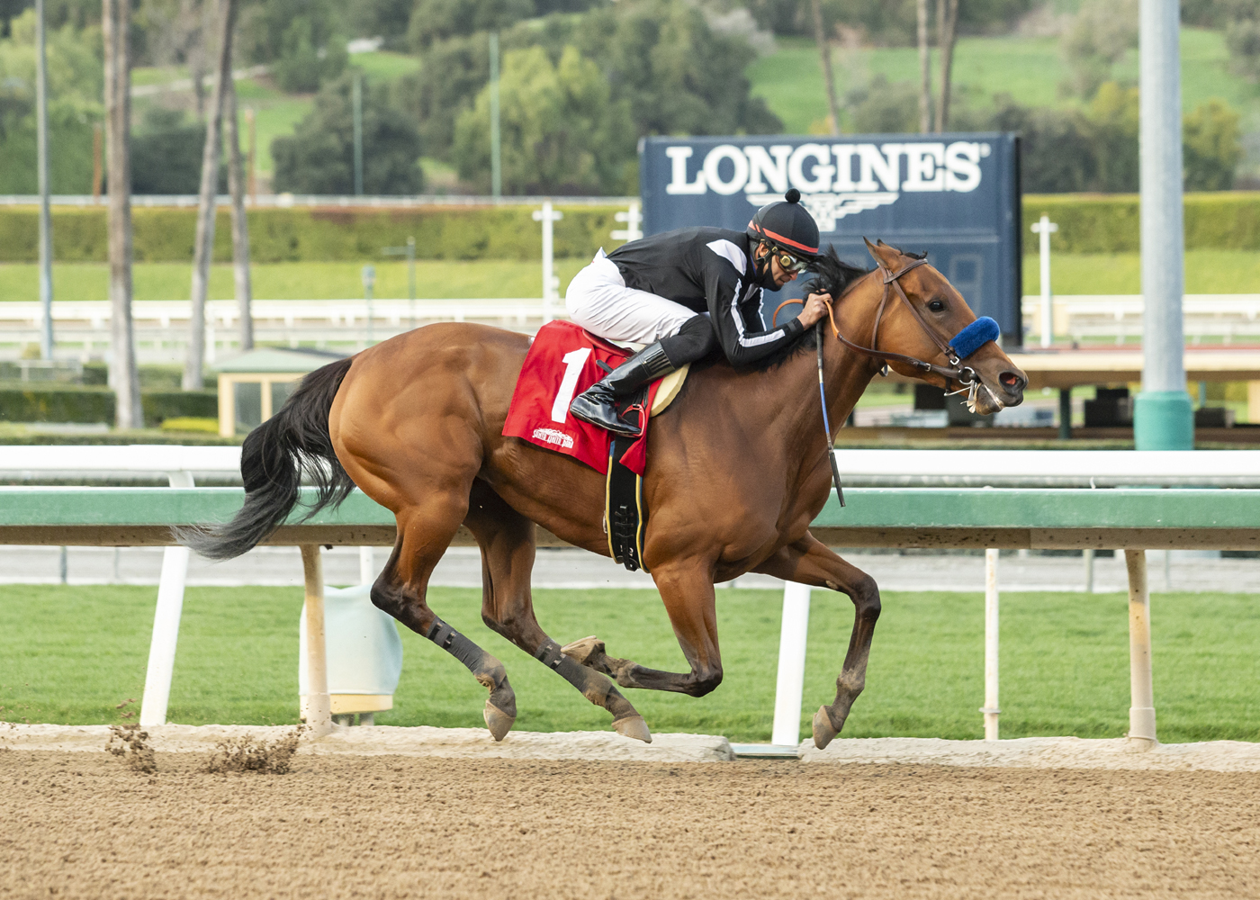 Merneith wins Santa Monica 2-13-2021