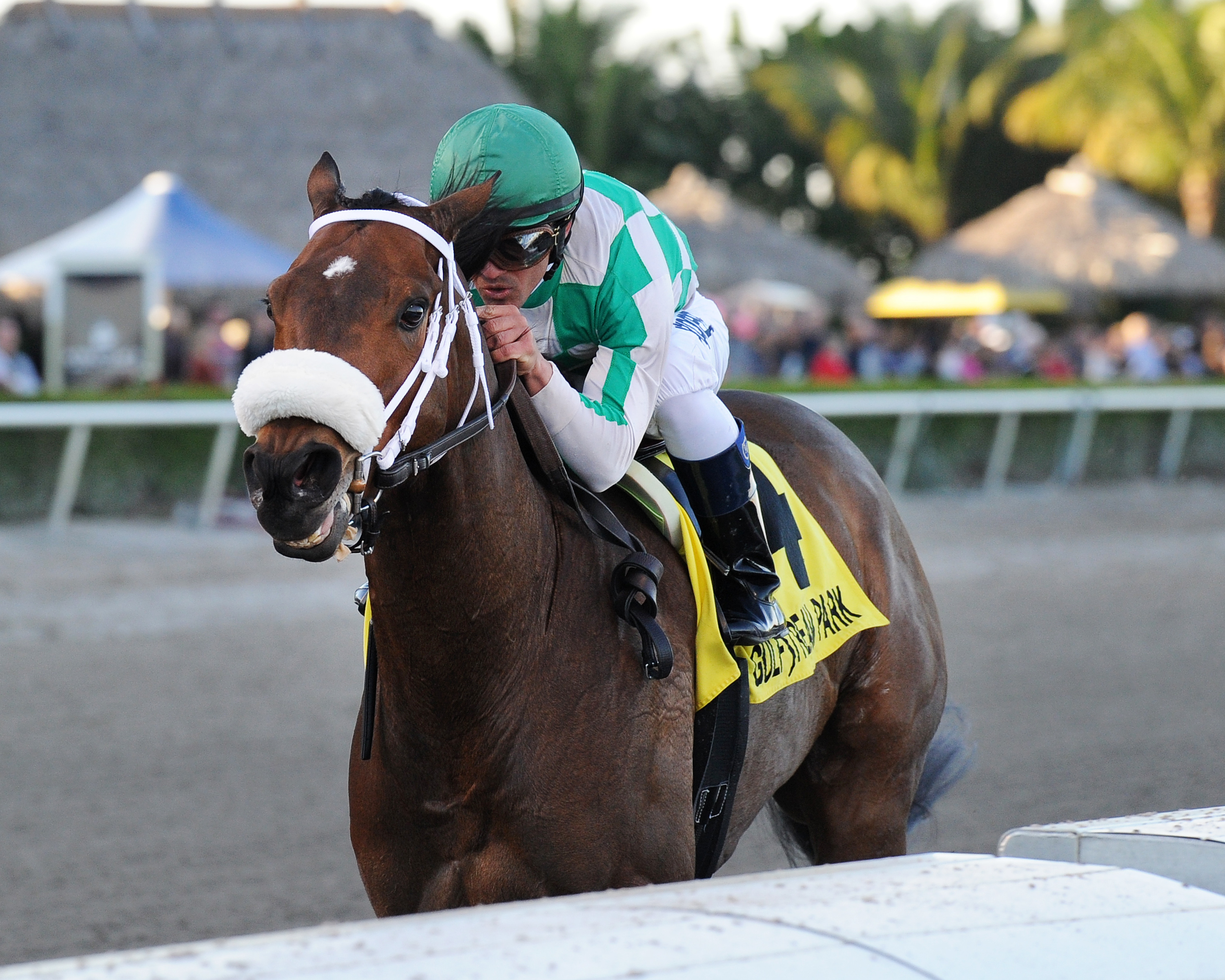 Merry Meadow 2-14-2015