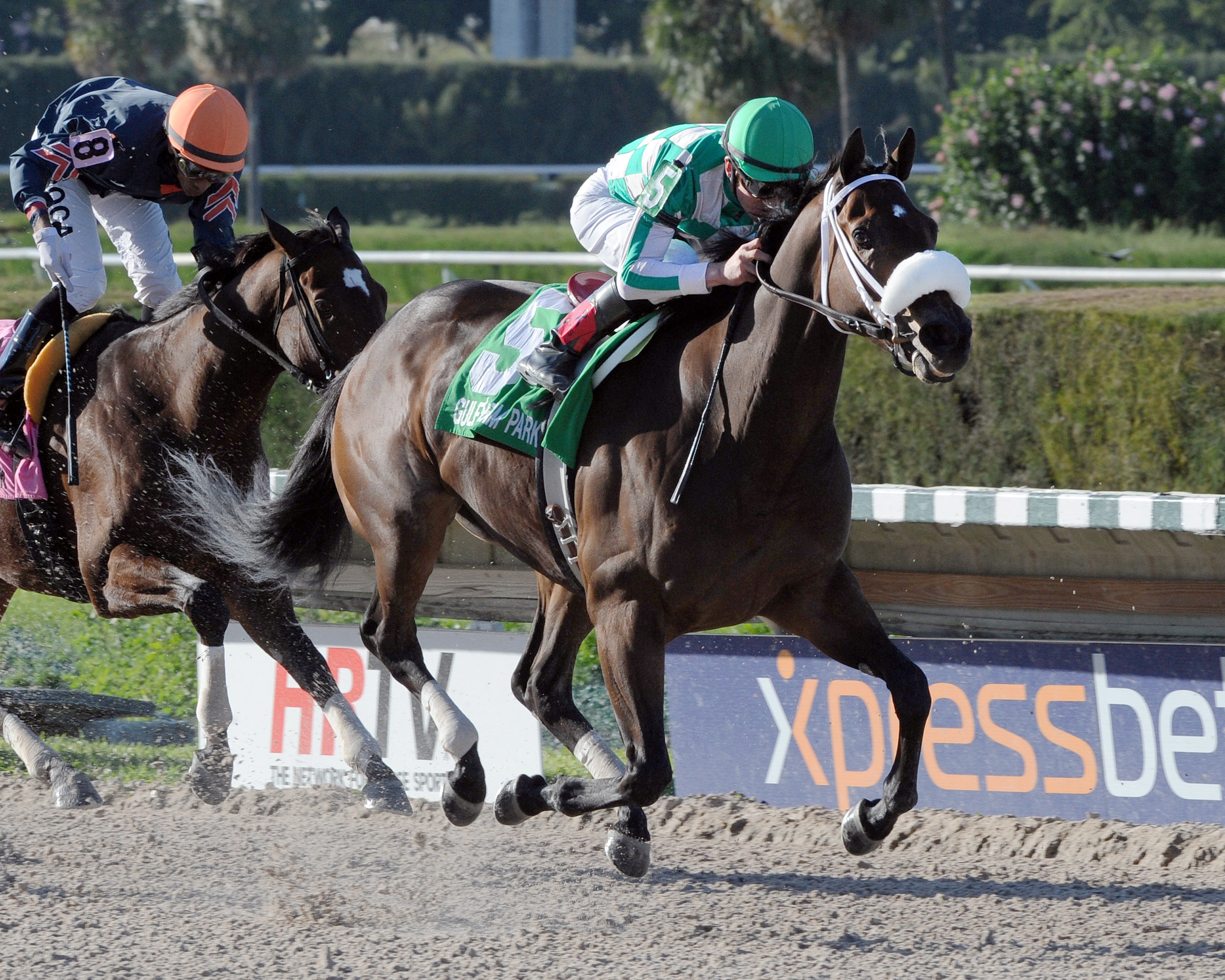 Merry Meadow wins the Sky Beauty Stakes