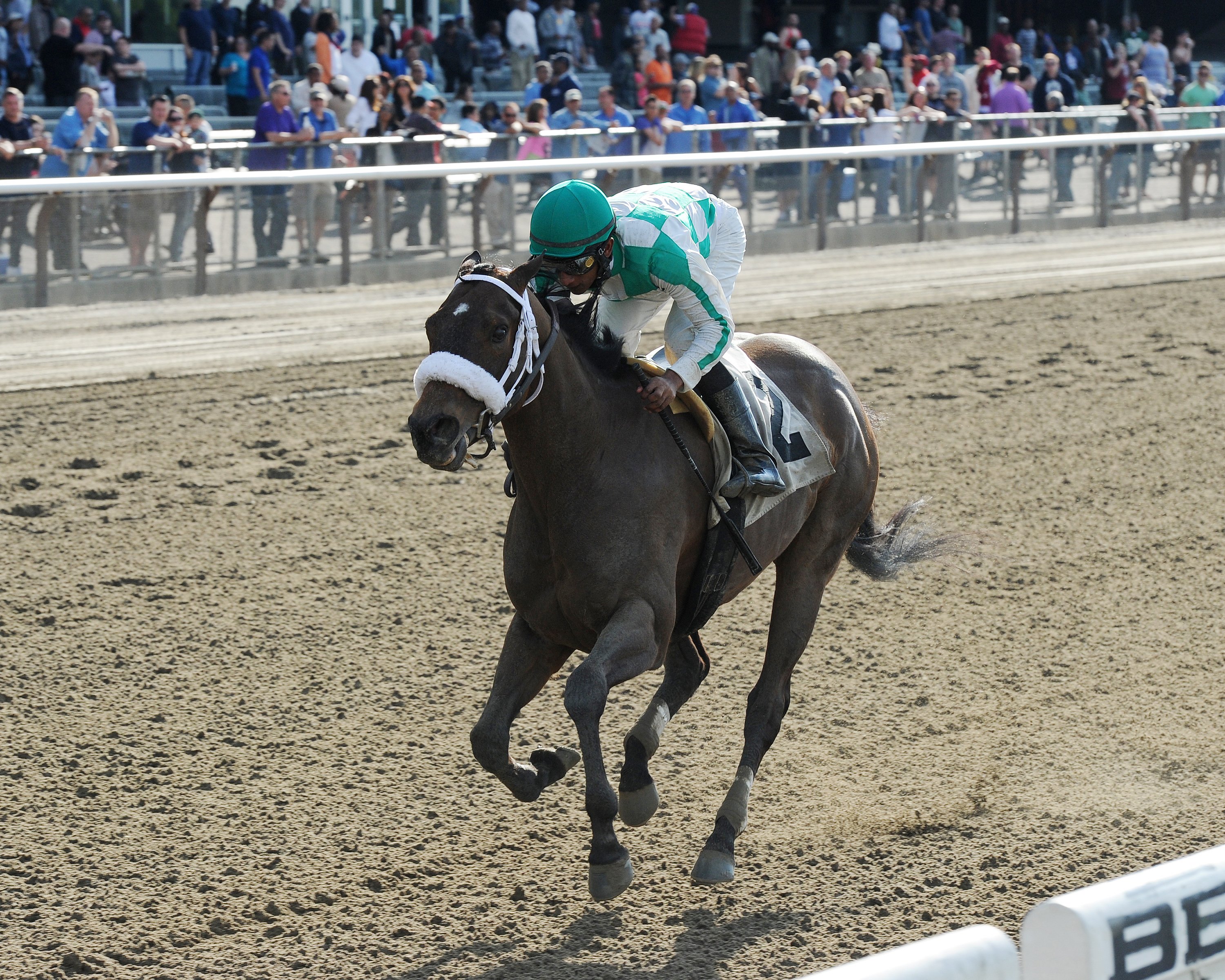 Merry Meadow wins the Vagrancy