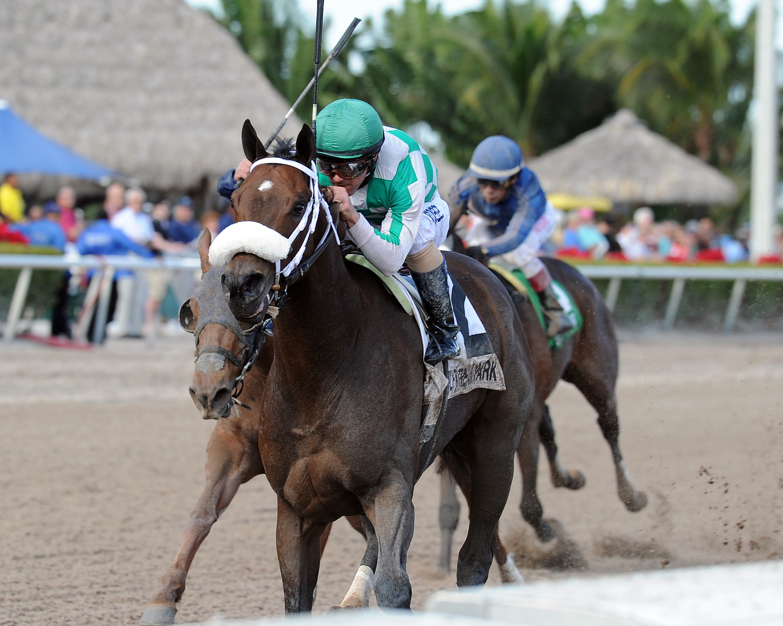 Merry Meadow wins the Sugar Swirl Stakes