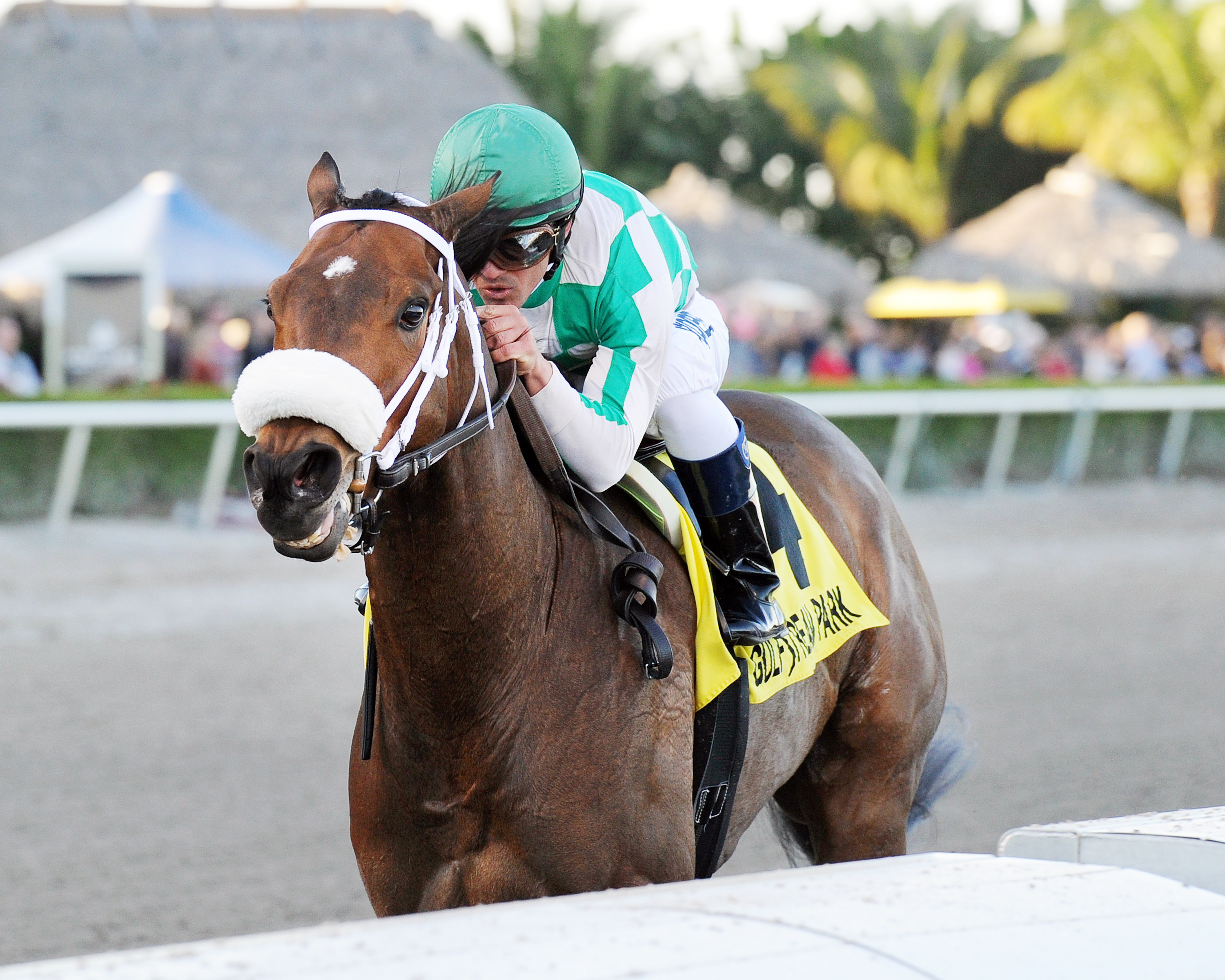 Merry Meadow wins the Hurricane Bertie