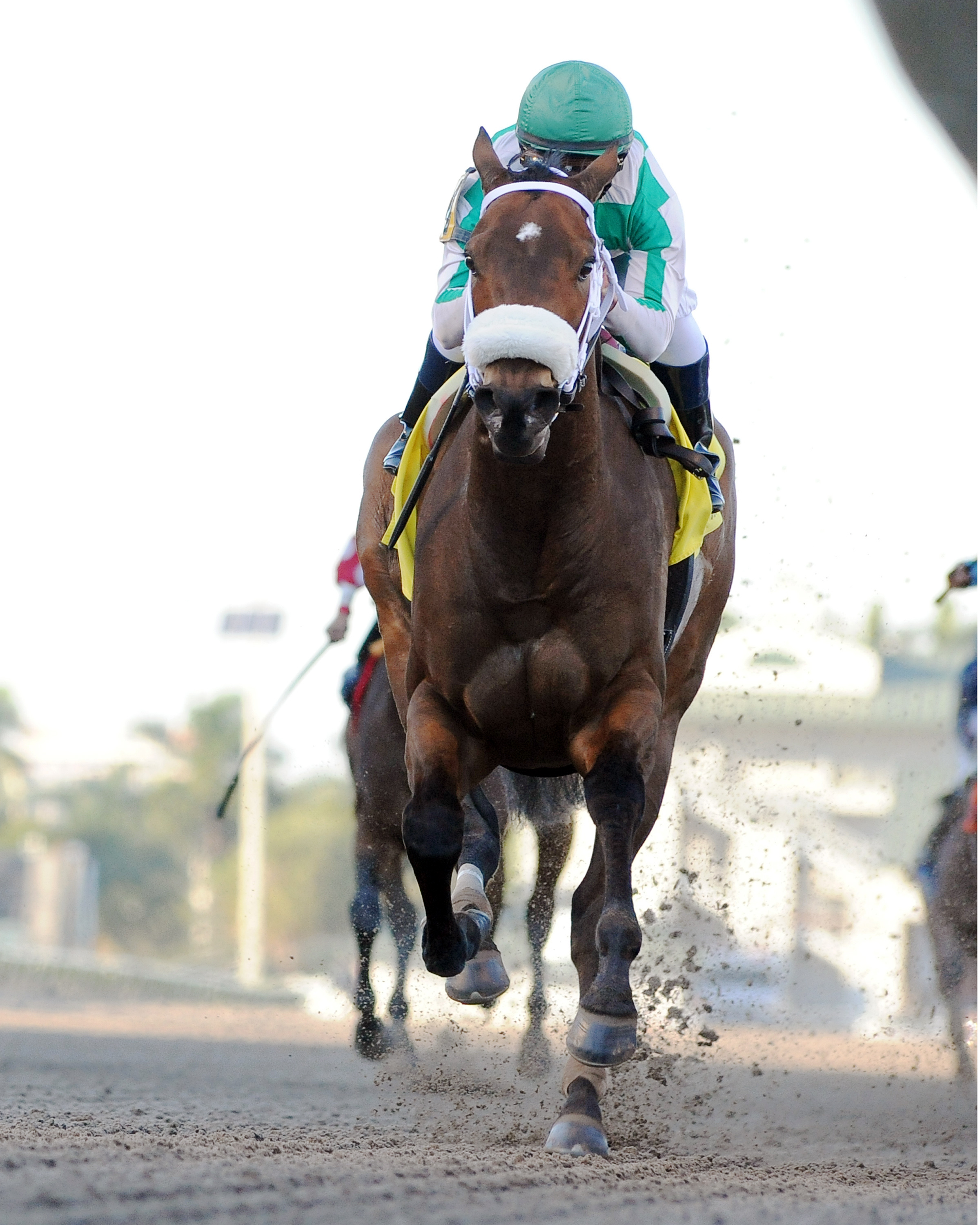 Merry Meadow wins the Hurricane Bertie
