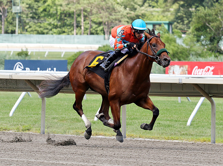 Meru wins at Monmouth Park on July 13, 2019