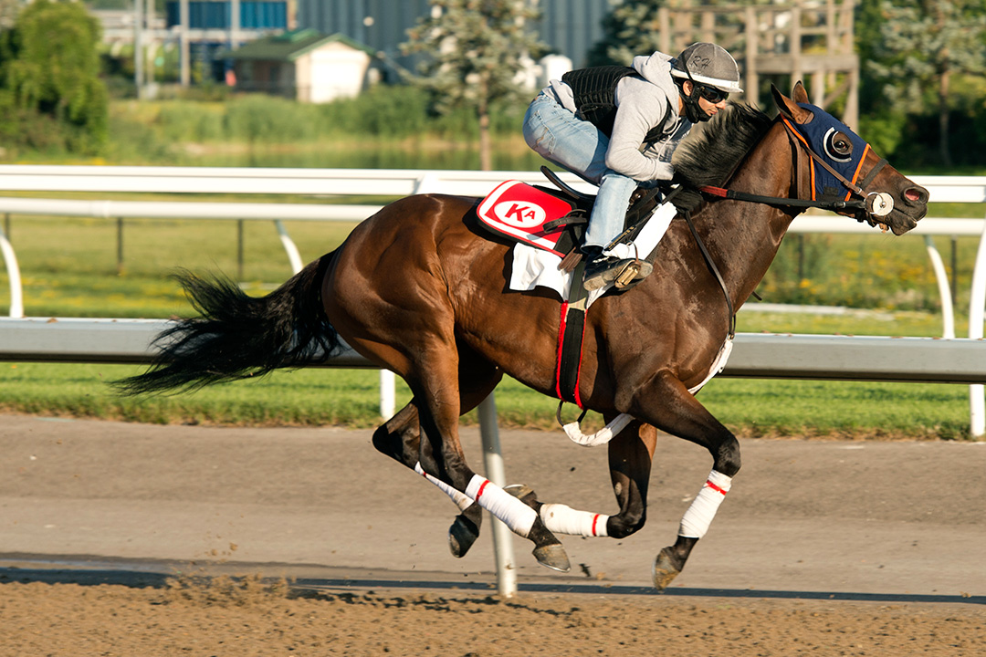 Merveilleux trains at Woodbine on Aug. 13