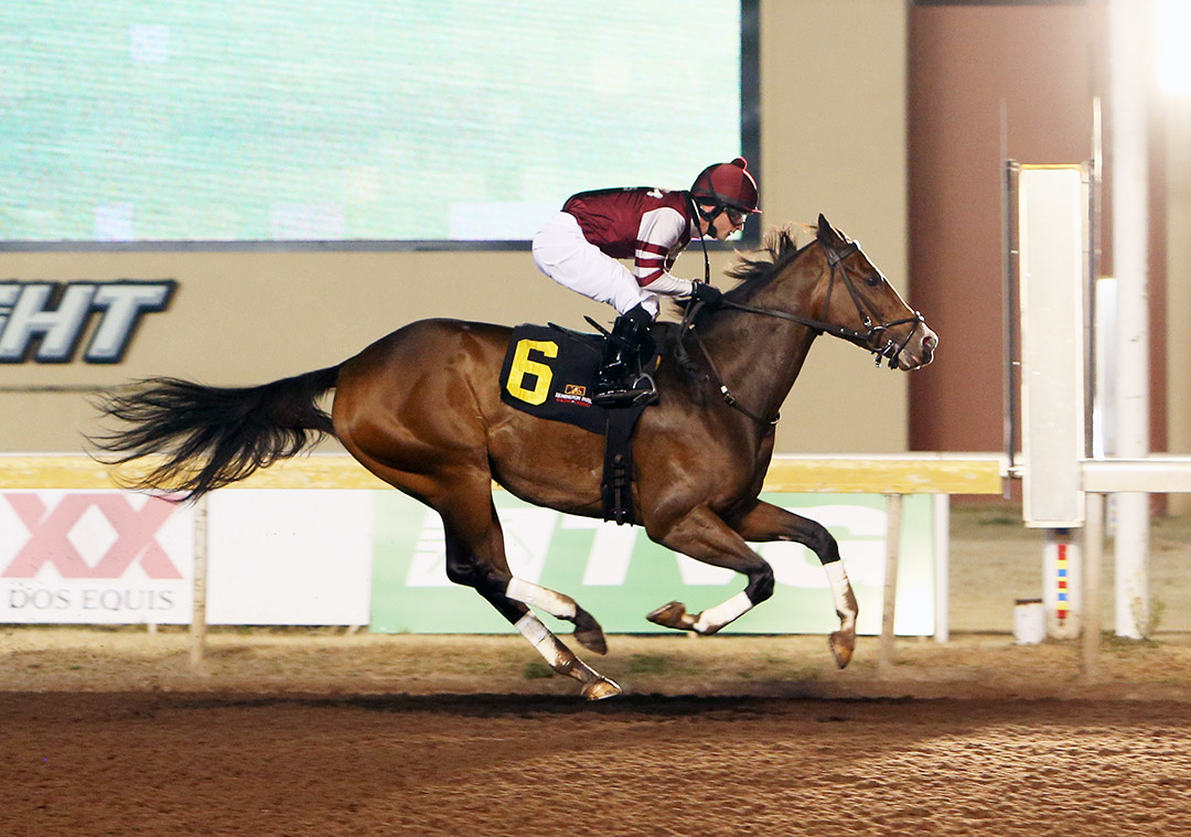 Mesa Moon wins a Dec. 4 allowance at Remington Park