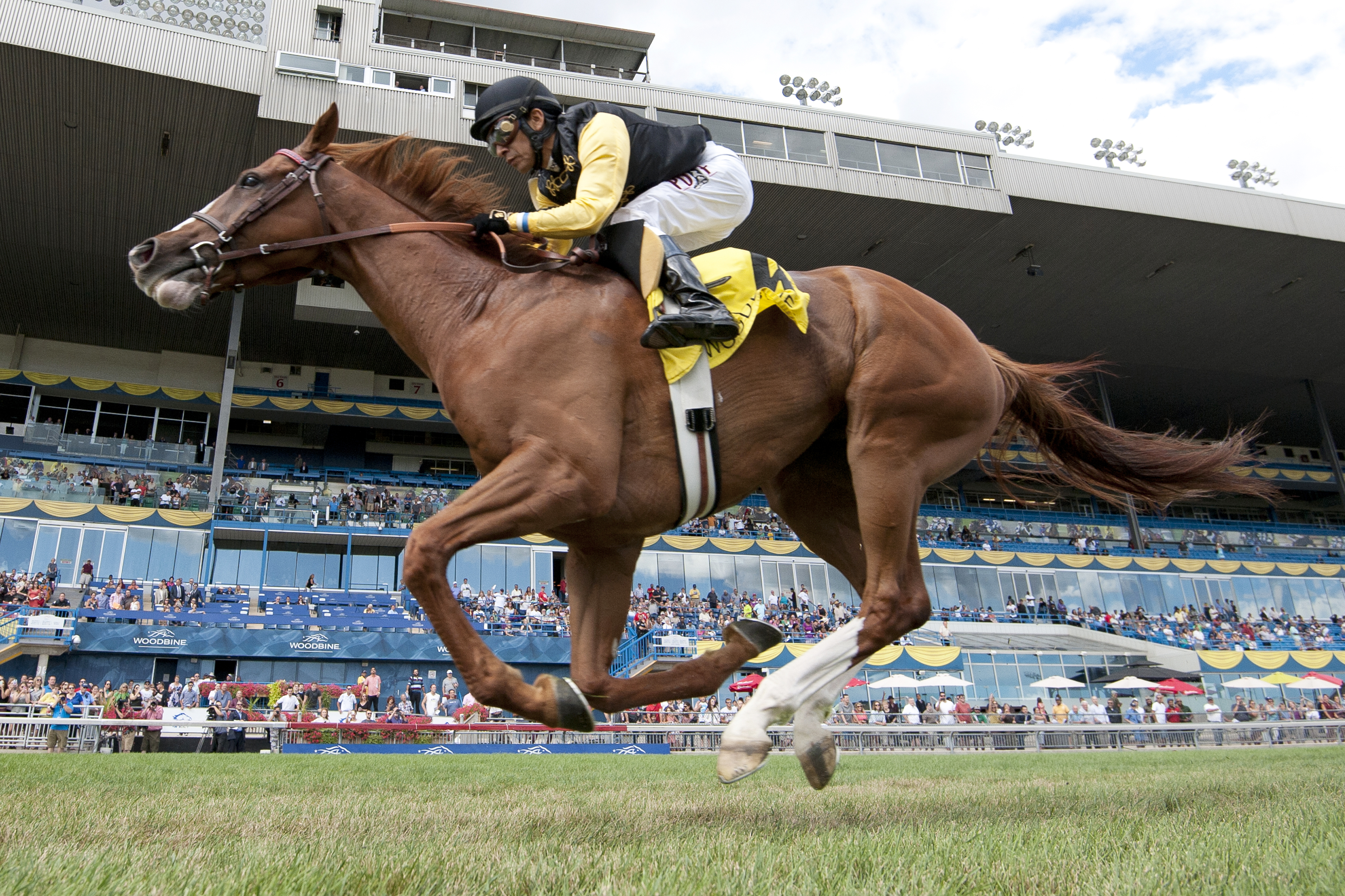 Messi wins the 2016 Sky Classic Stakes