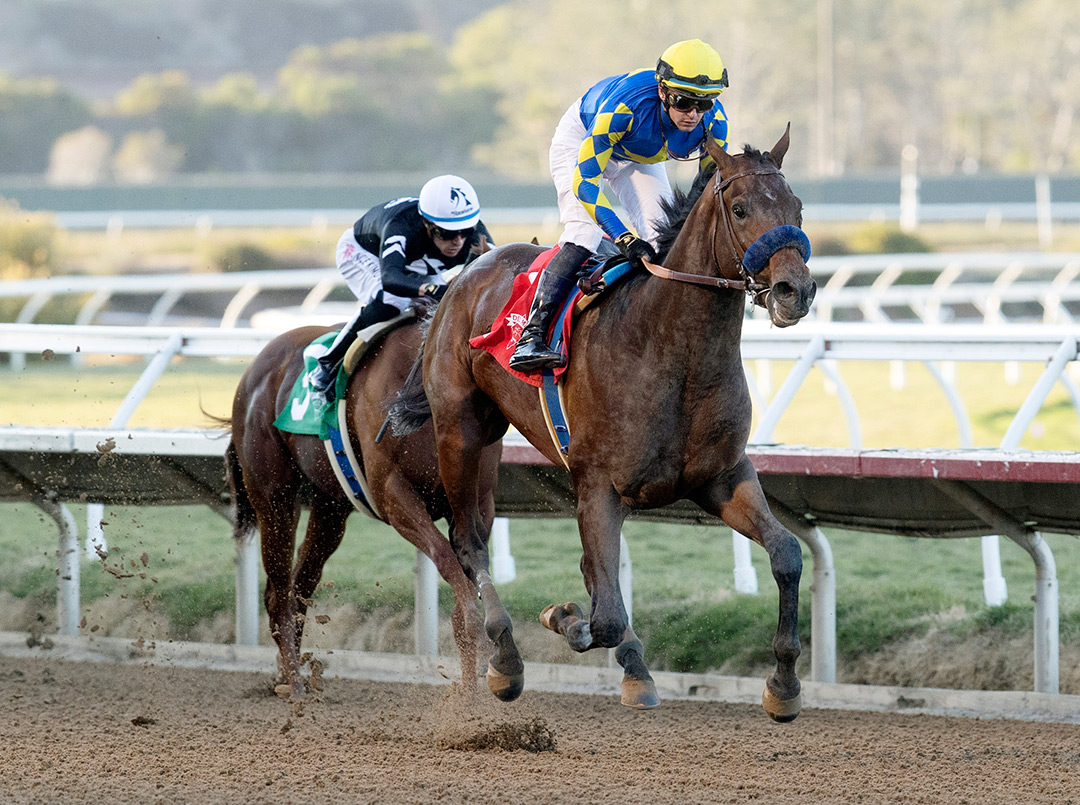Messier wins the 2021 Bob Hope Stakes at Del Mar