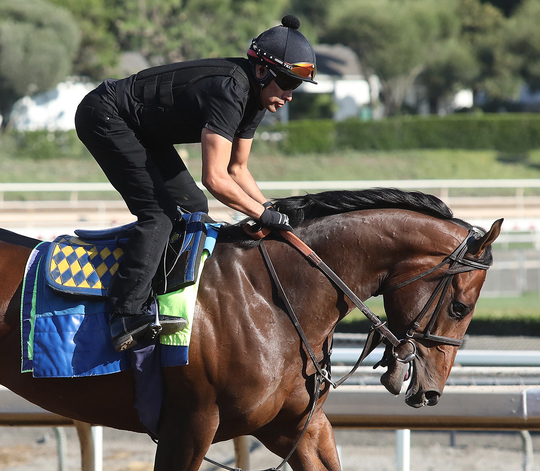 Messier trains at Santa Anita on Oct. 1