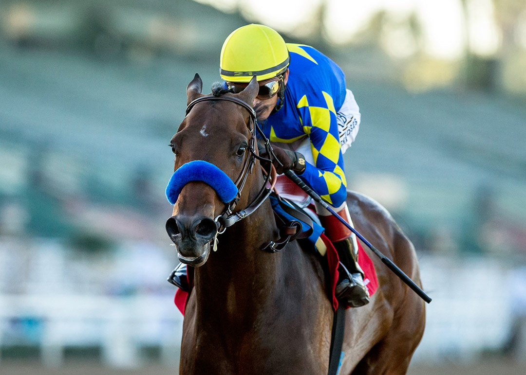 Messier wins the Robert B. Lewis at Santa Anita Park