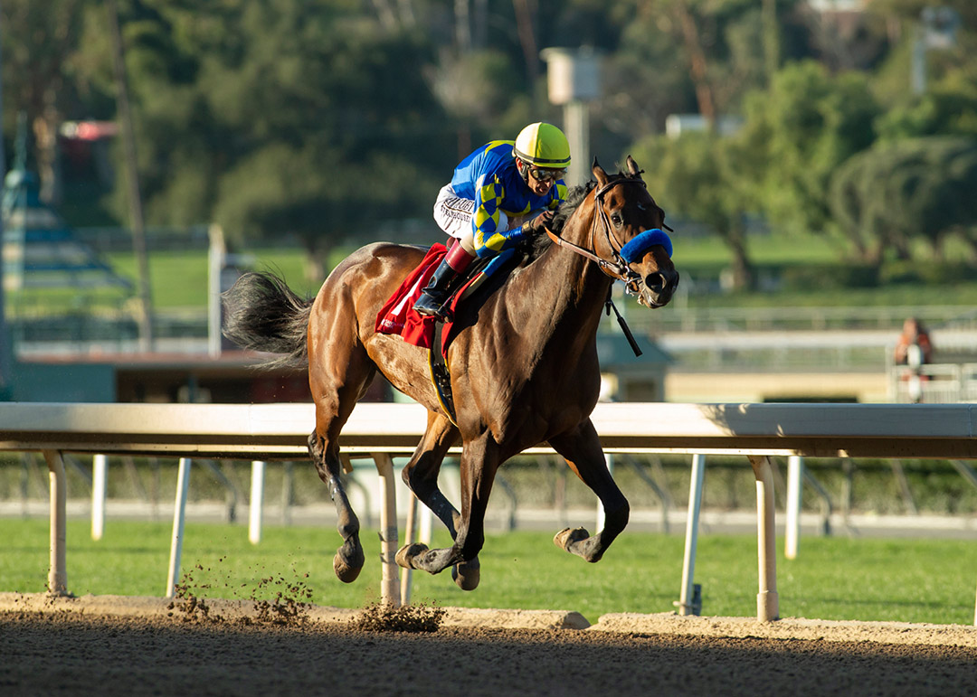 Messier wins the 2022 Robert B. Lewis Stakes at Santa Anita