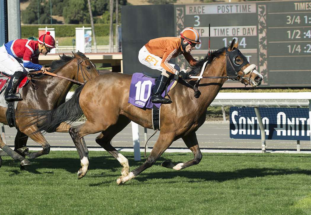 Mesut wins a Dec. 29 maiden race at Santa Anita