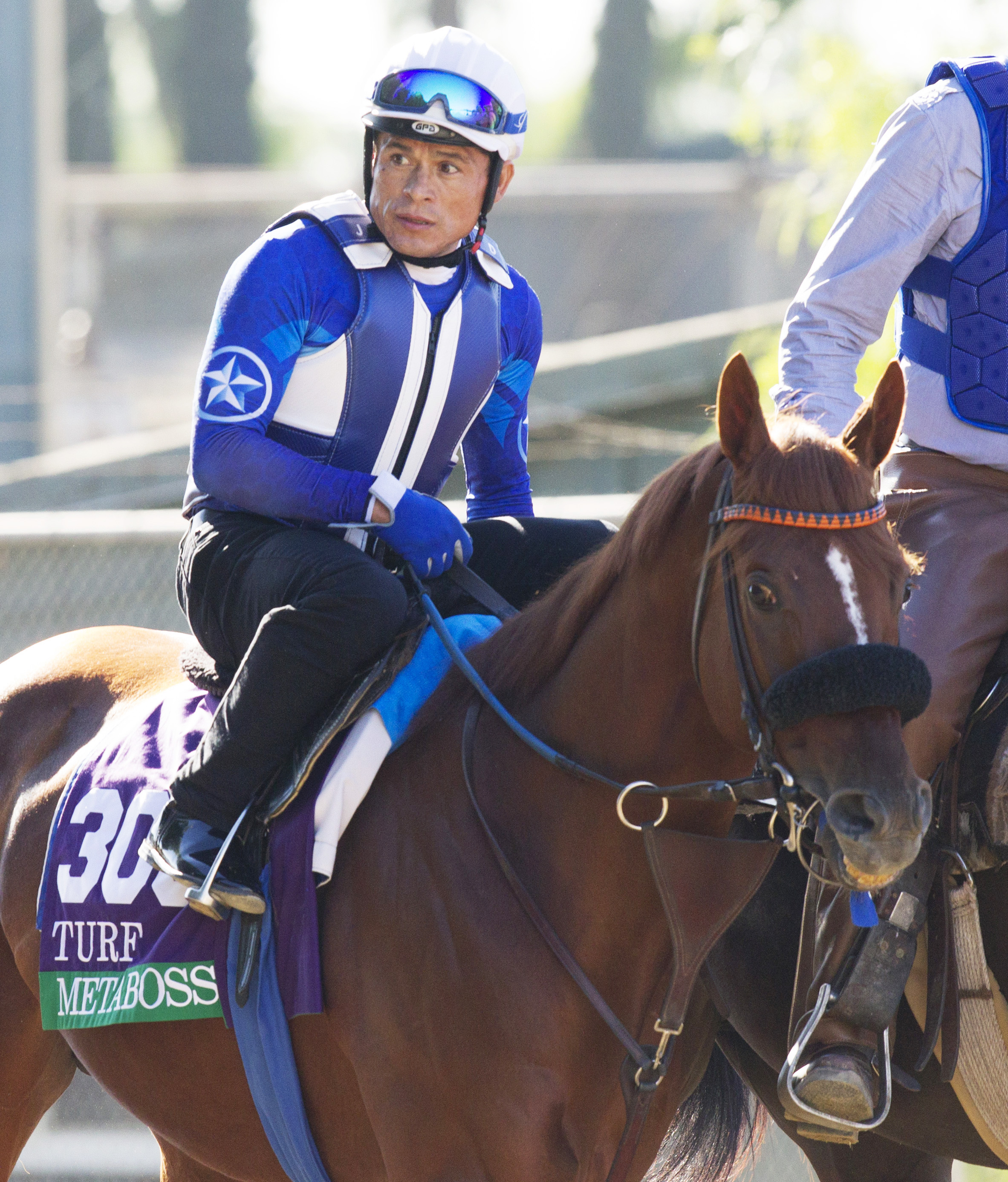 Metaboss at Santa Anita on Nov. 2