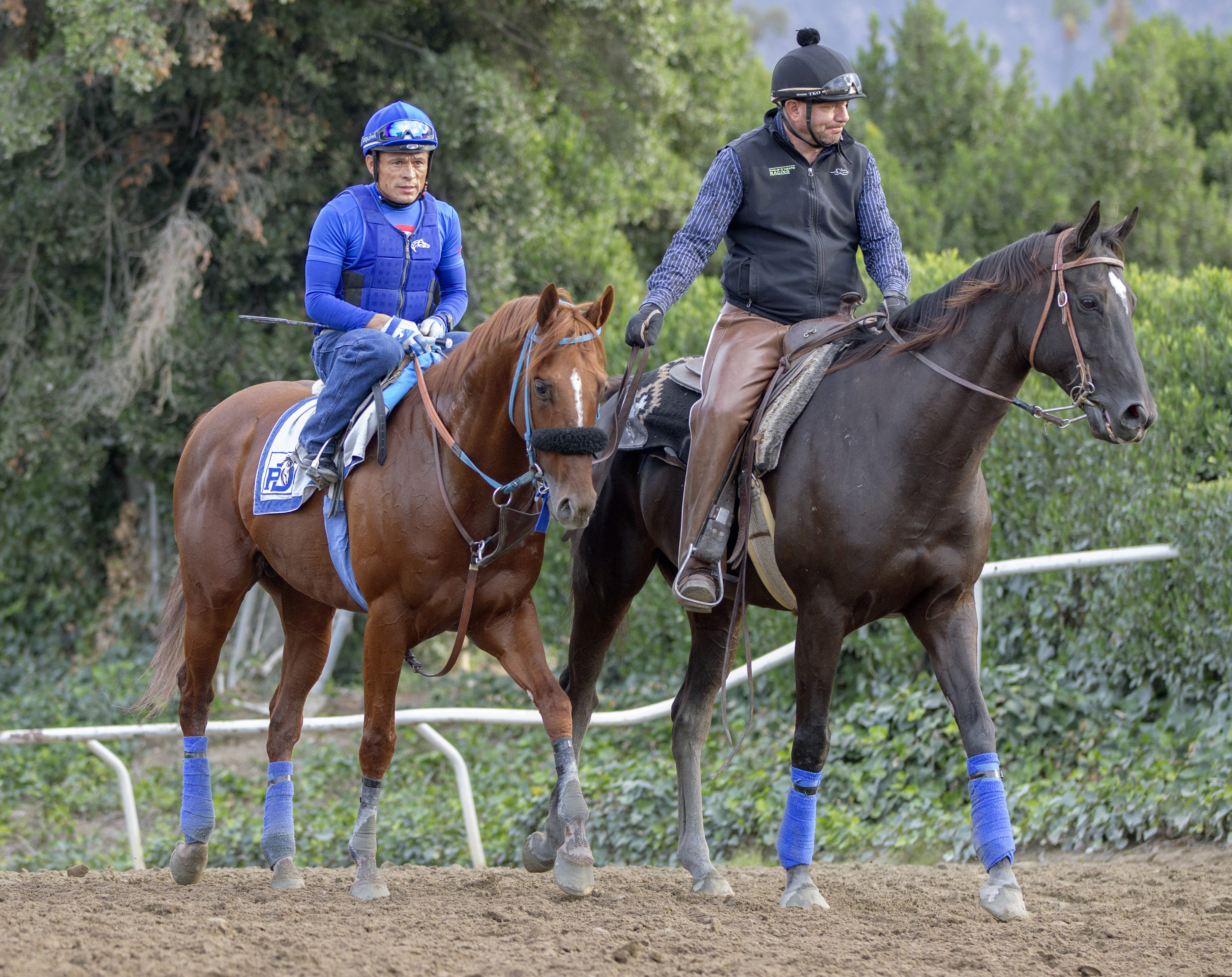 Metaboss at Santa Anita on Oct. 23