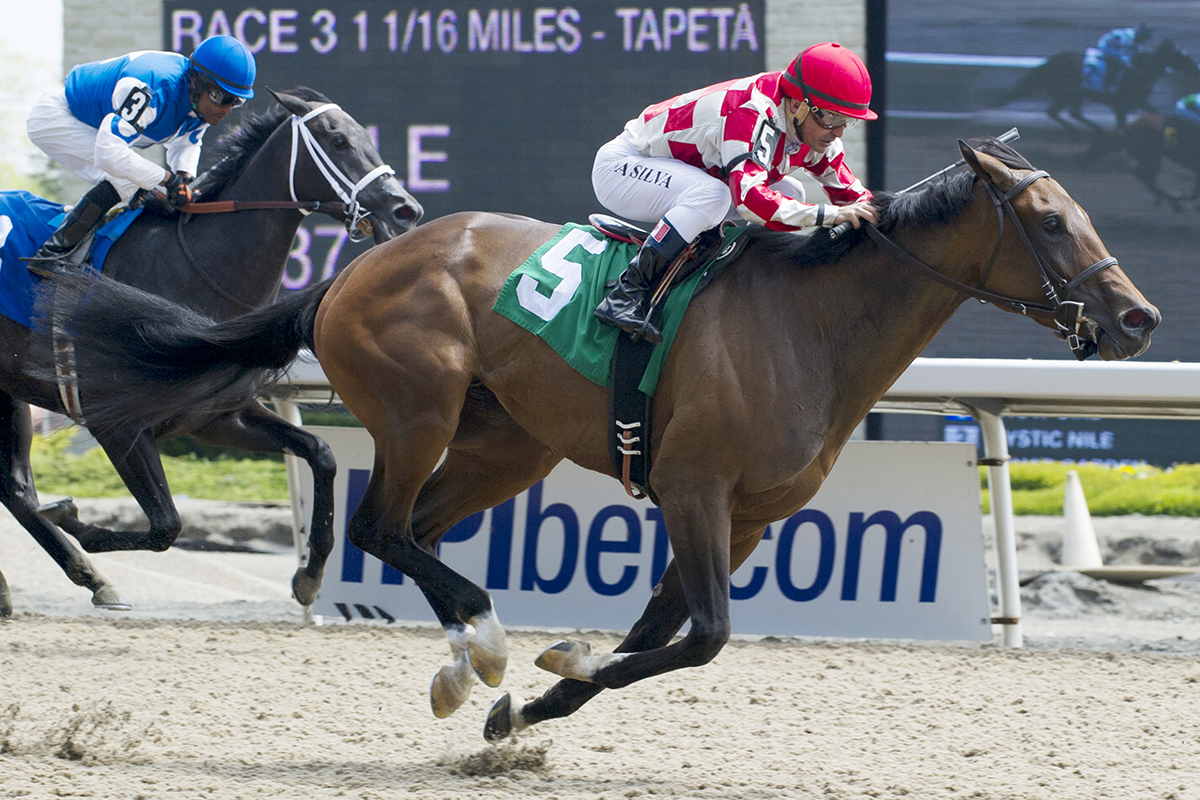 Mexican Hat wins a May 20 maiden race