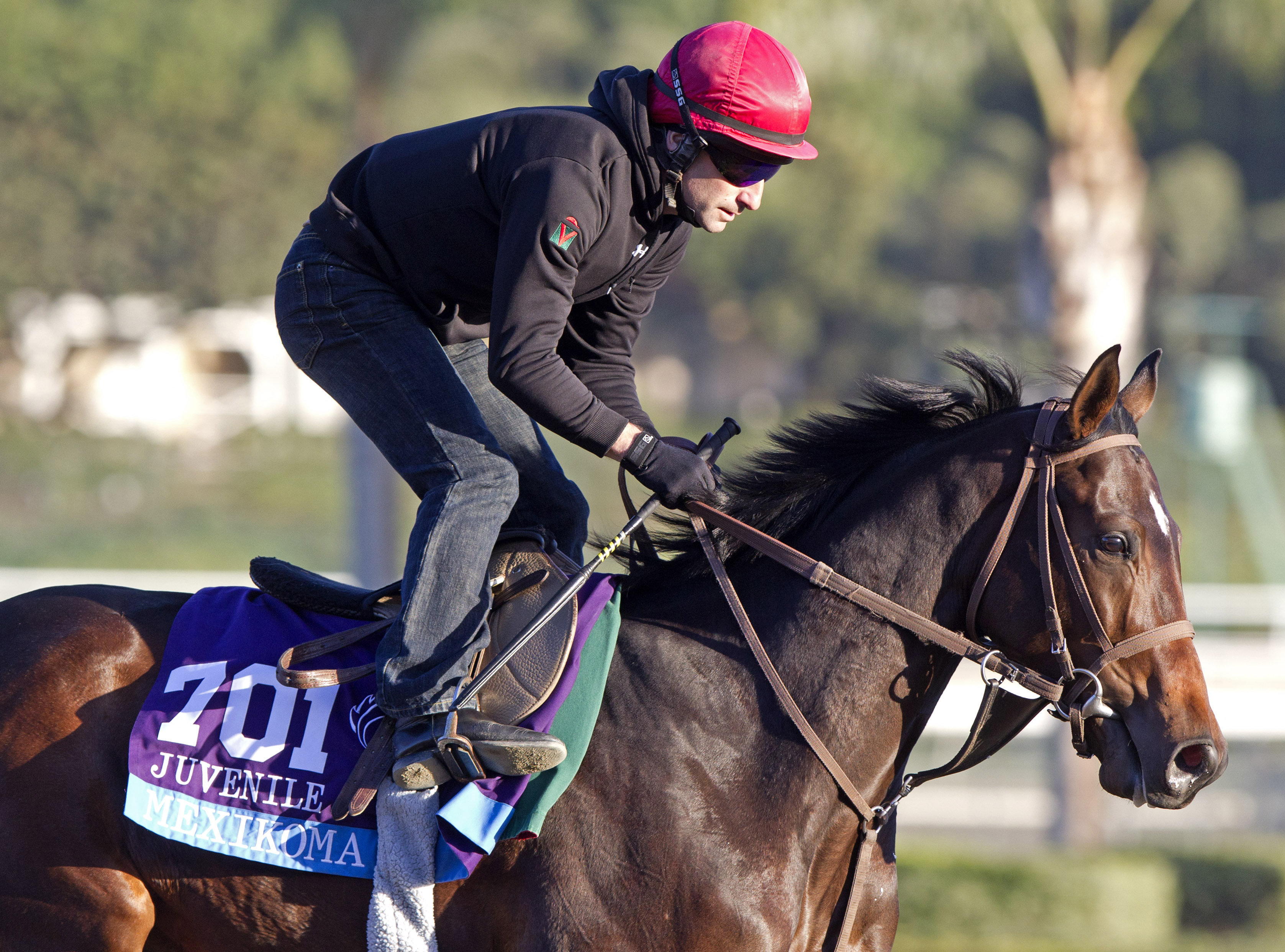 Mexikoma at Santa Anita Park