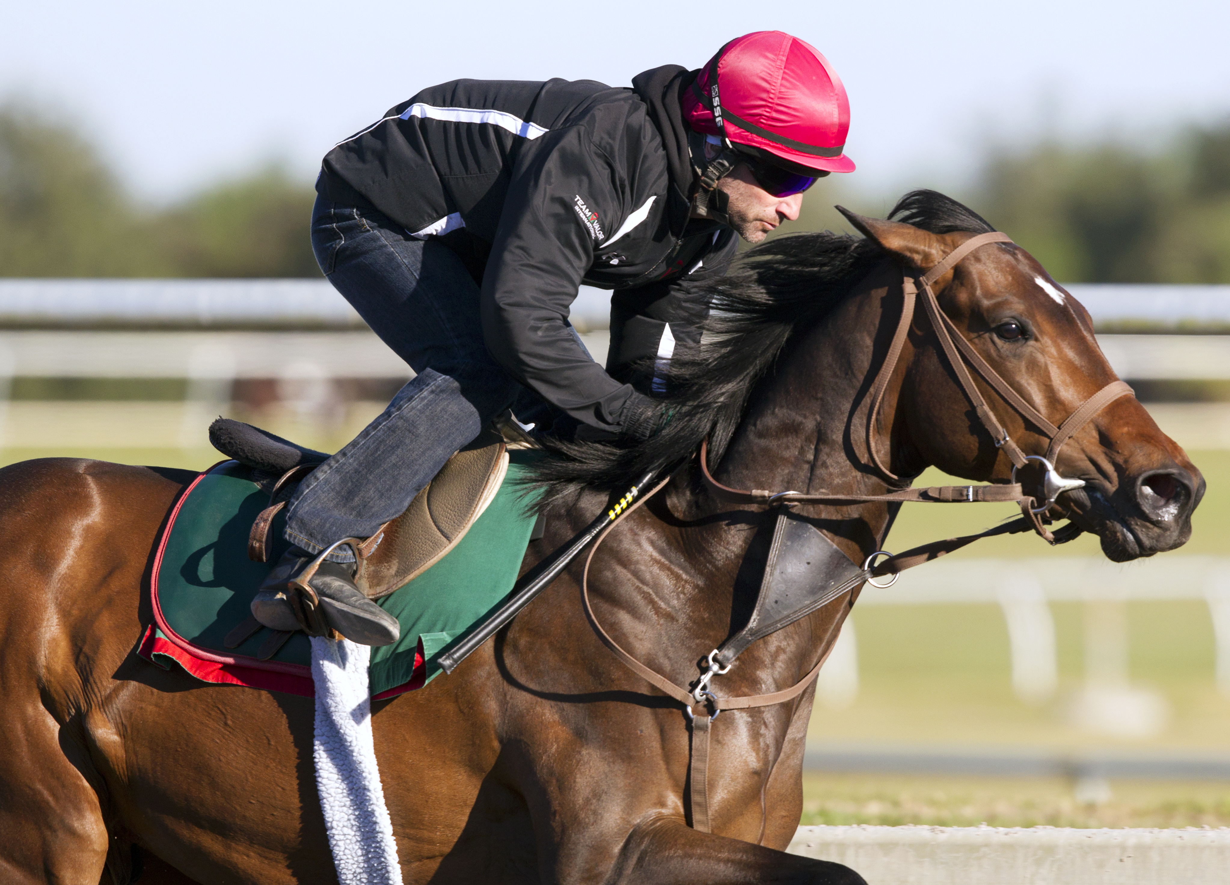 Mexikoma at Palm Meadows on Jan. 22
