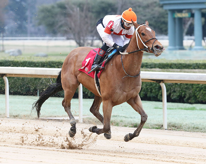 Mia Mischief wins a March 3 allowance