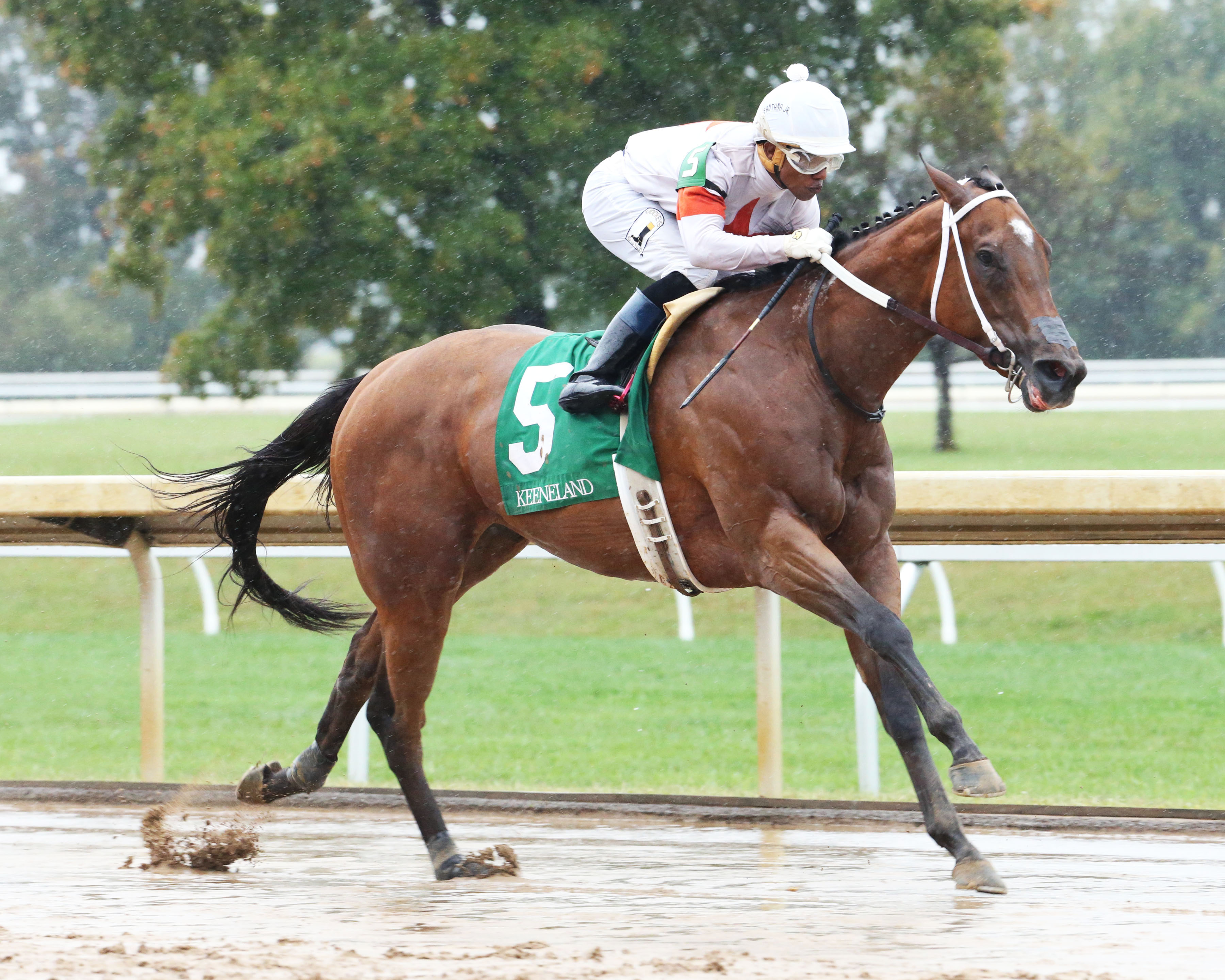 Mia Mischief wins an Oct. 8 maiden race
