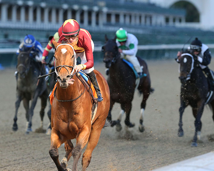 Mia Mischief wins the 2019 Dream Supreme Stakes at Churchill Downs