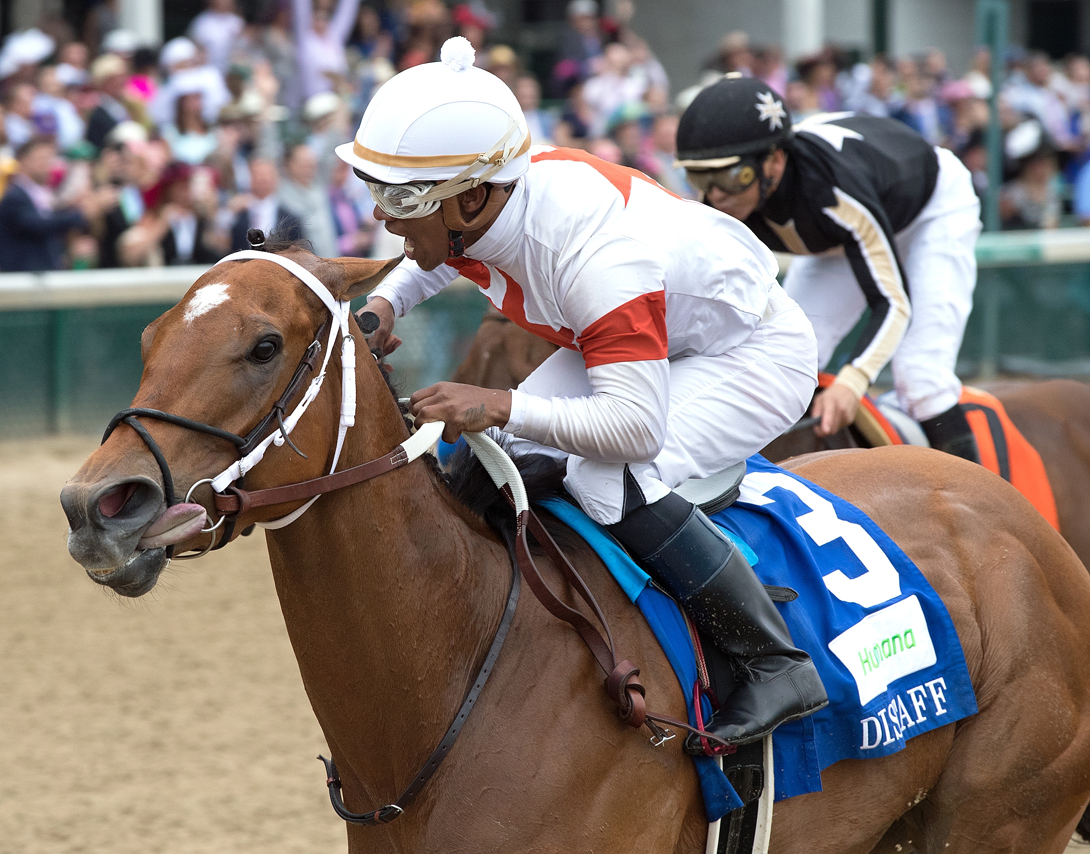 Mia Mischief wins the 2019 Humana Distaff