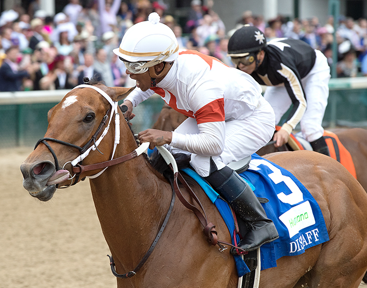 Mia Mischief wins the 2019 Humana Distaff