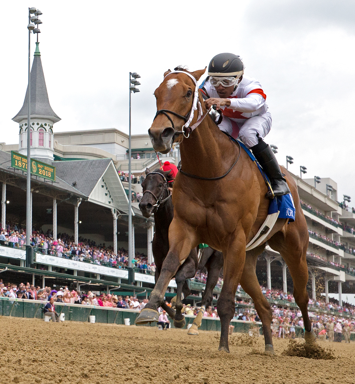 Mia Mischief wins the 2018 Eight Belles