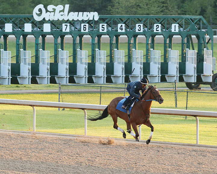 Mia Mischief trains at Oaklawn on April 11