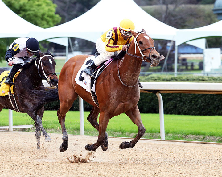Mia Mischief wins a March 20 allowance at Oaklawn Park