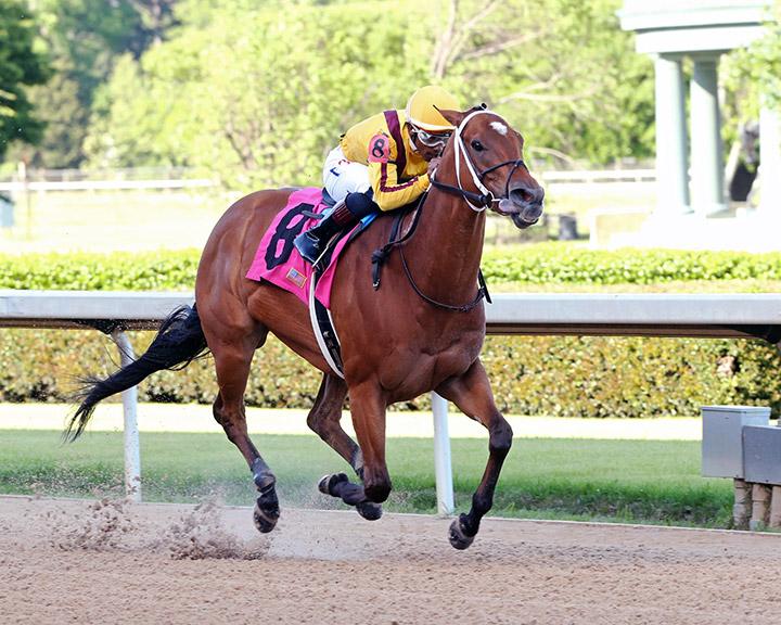 Mia Mischief wins the 2020 Carousel Stakes at Oaklawn Park