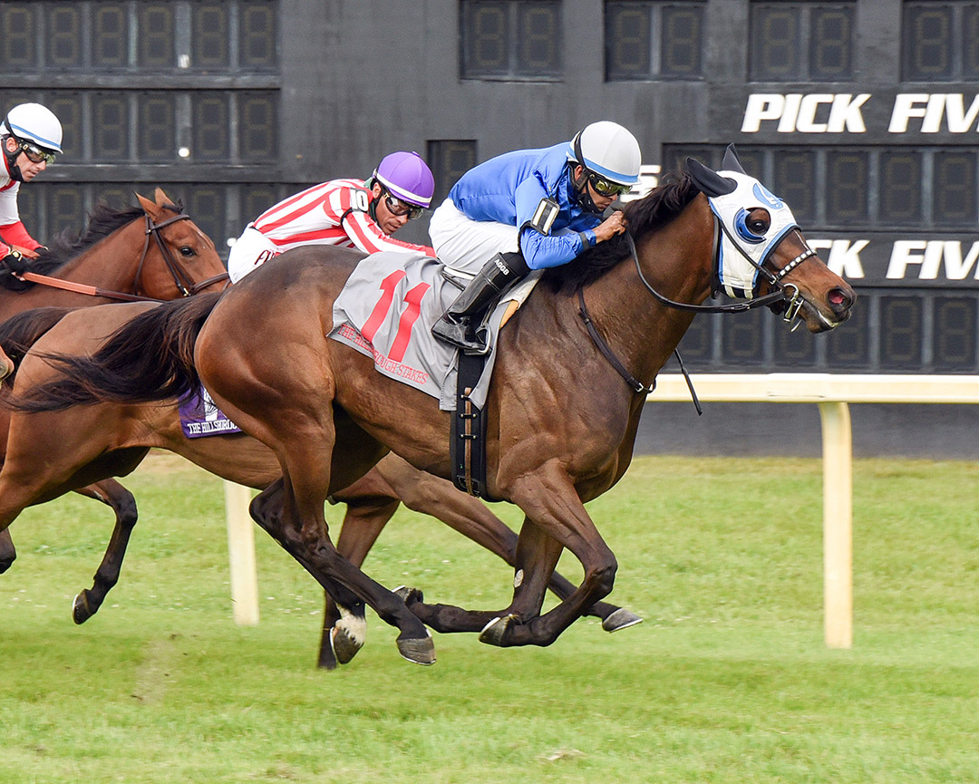 Micheline wins the 2021 Hillsborough Stakes at Tampa Bay Downs