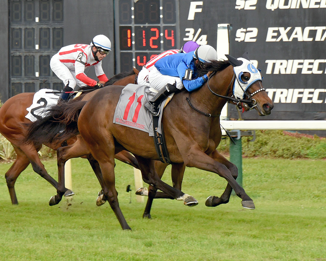Micheline wins the 2021 Hillsborough Stakes at Tampa Bay Downs