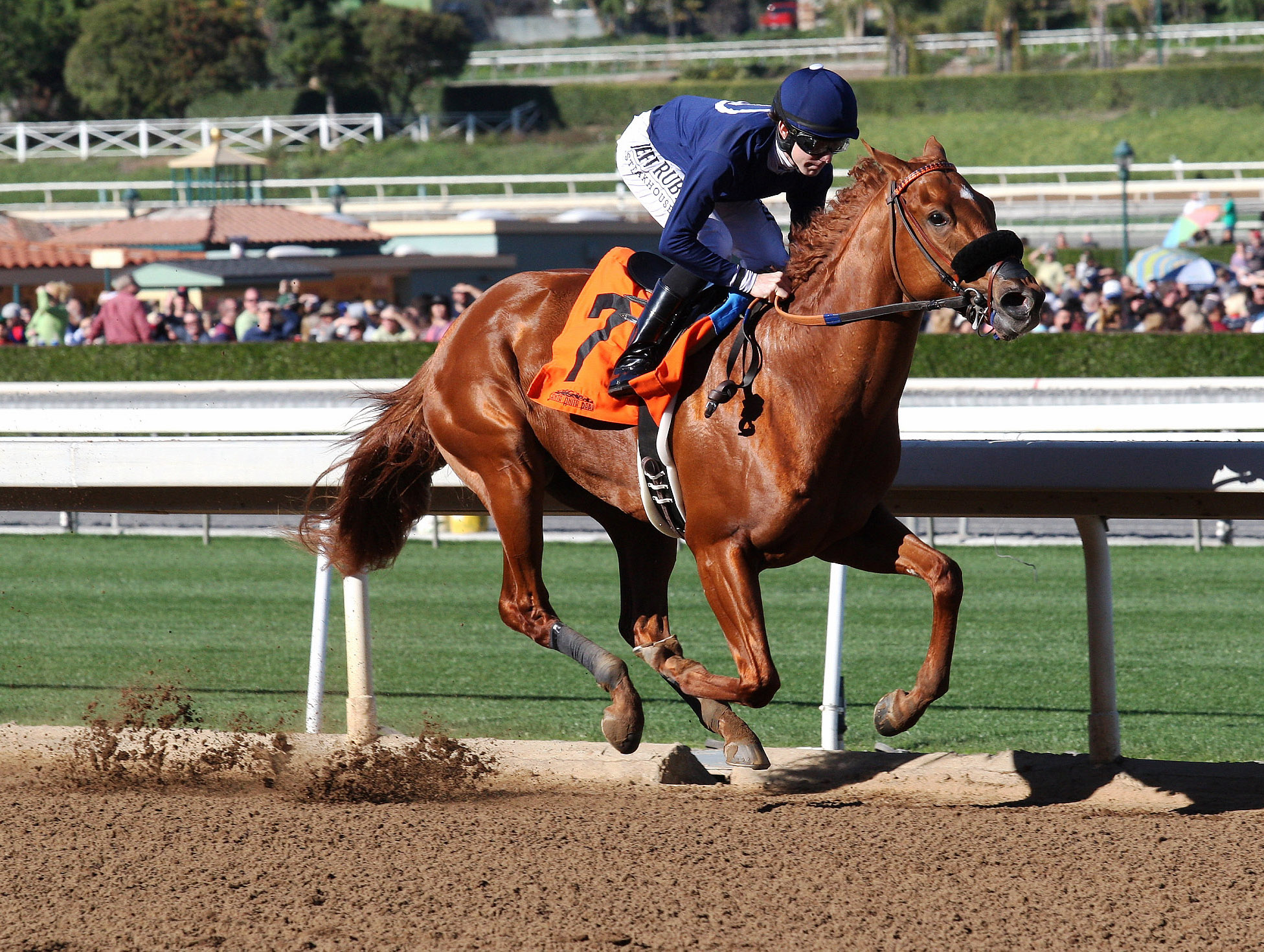 Micks Miracle wins a maiden race at Santa Anita