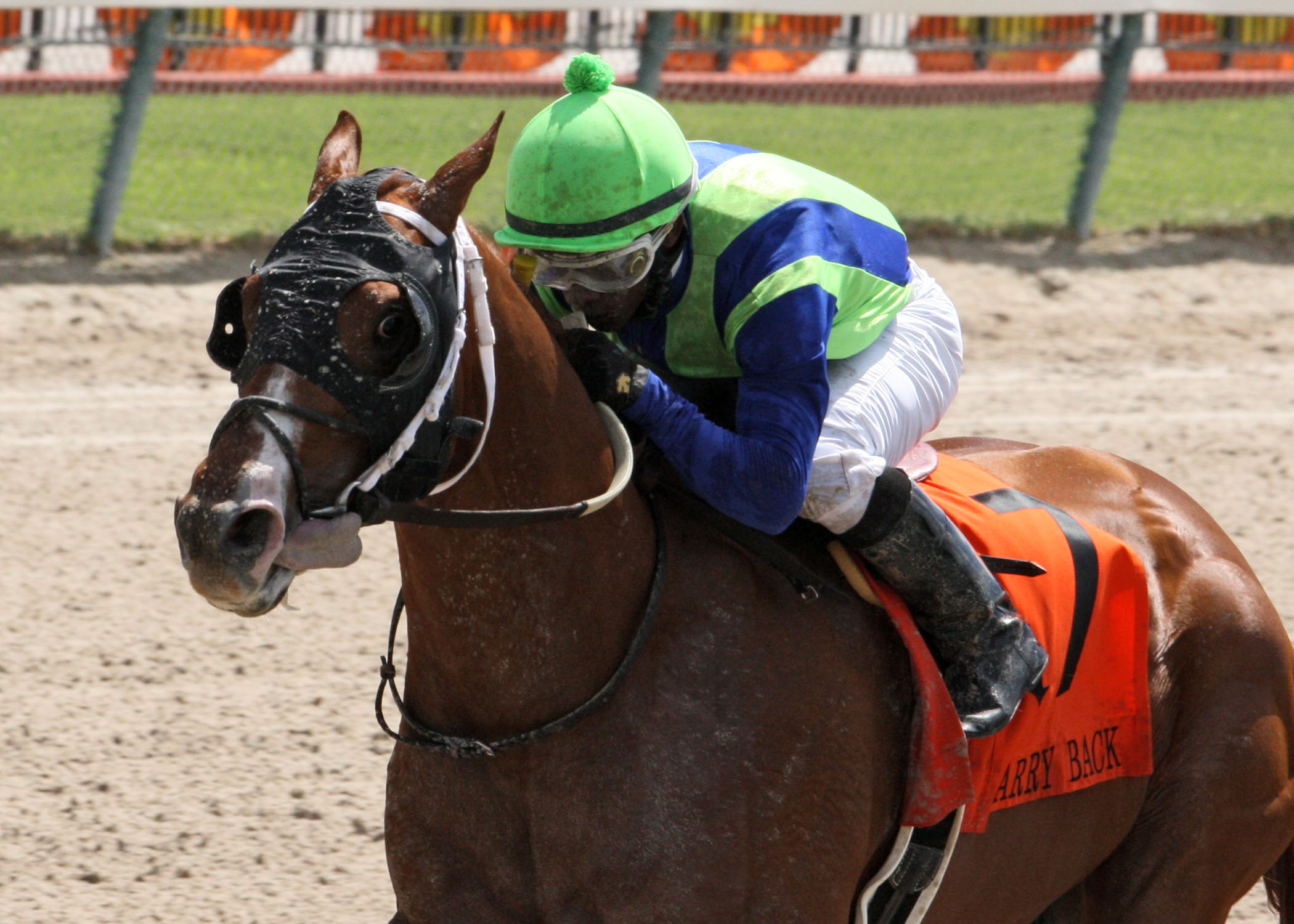Mico Margarita wins the Carry Back Stakes