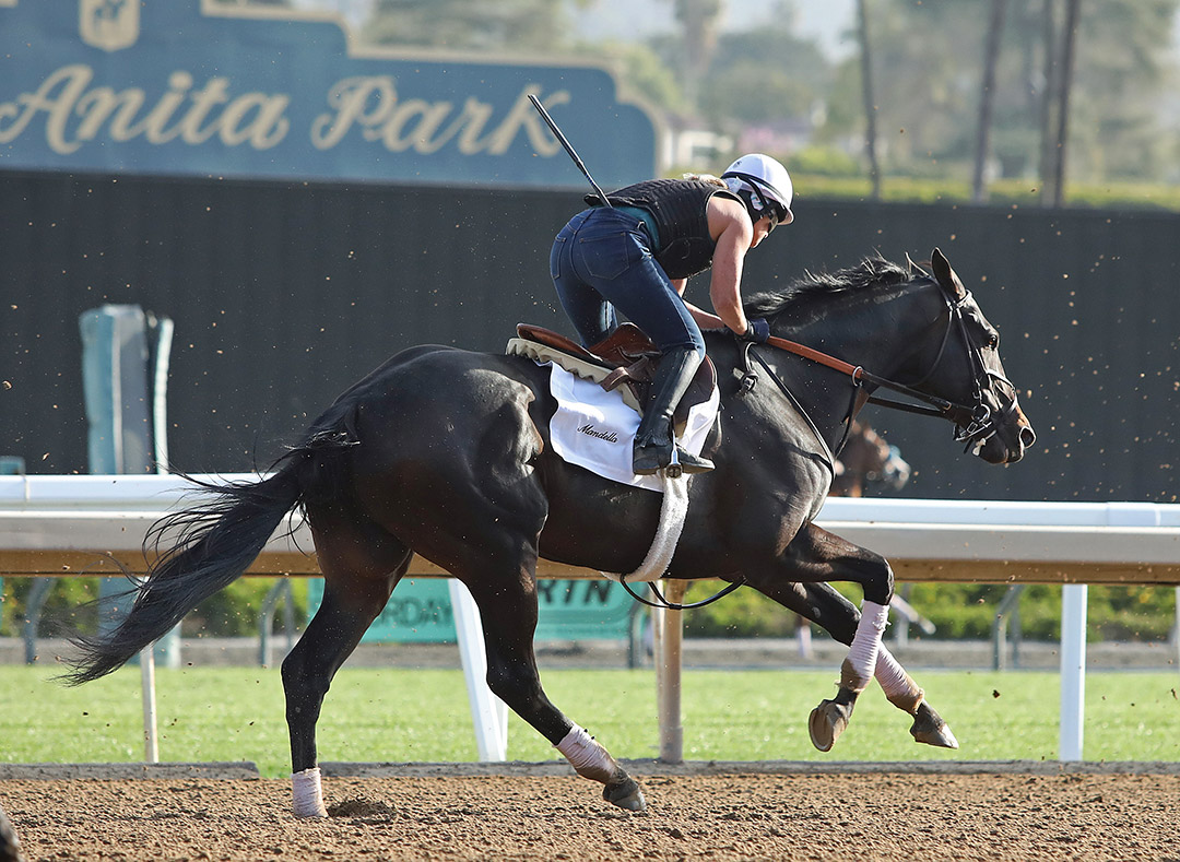 Micro Share trains at Santa Anita on March 5