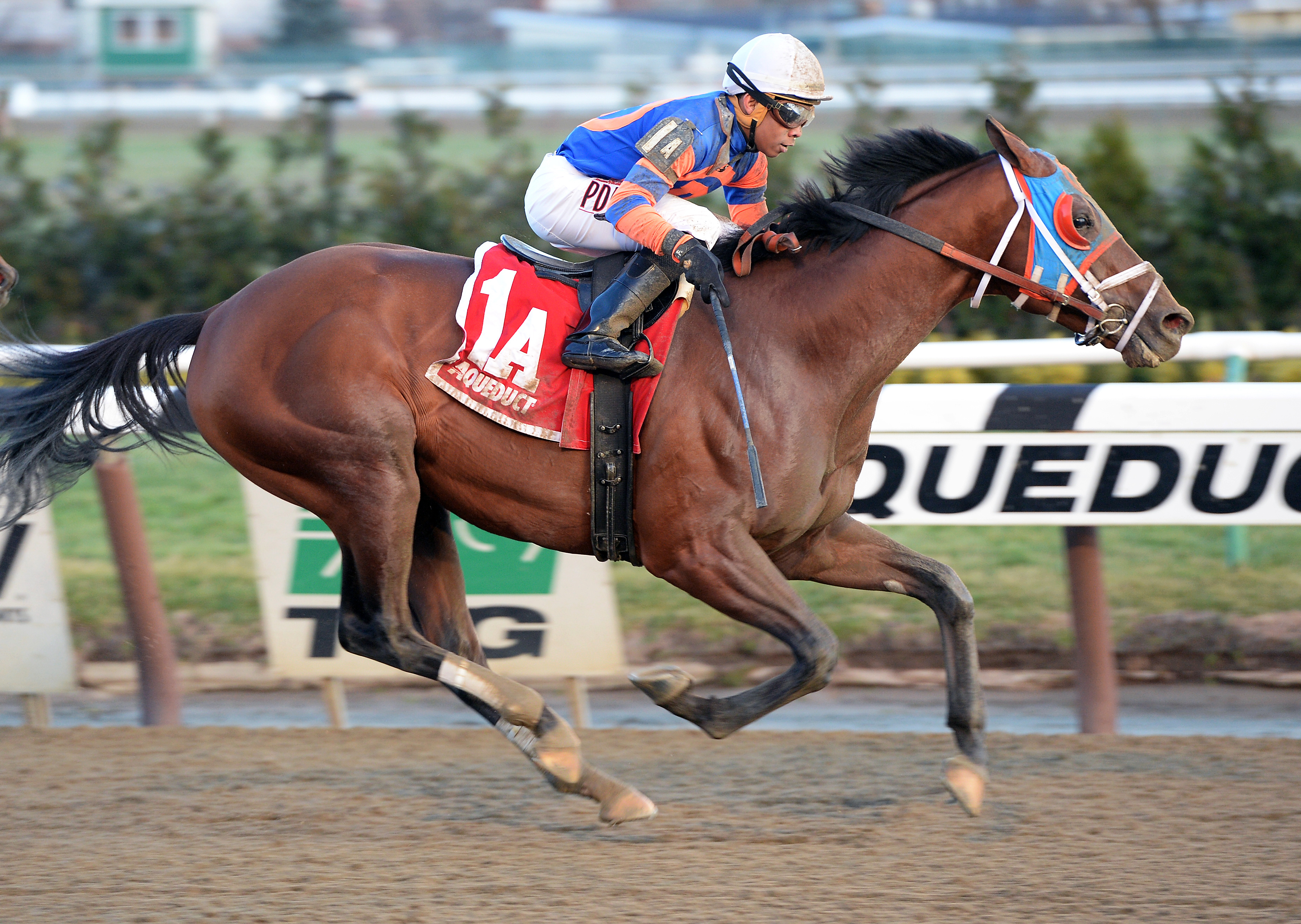 Micromanage wins the Queens County Stakes