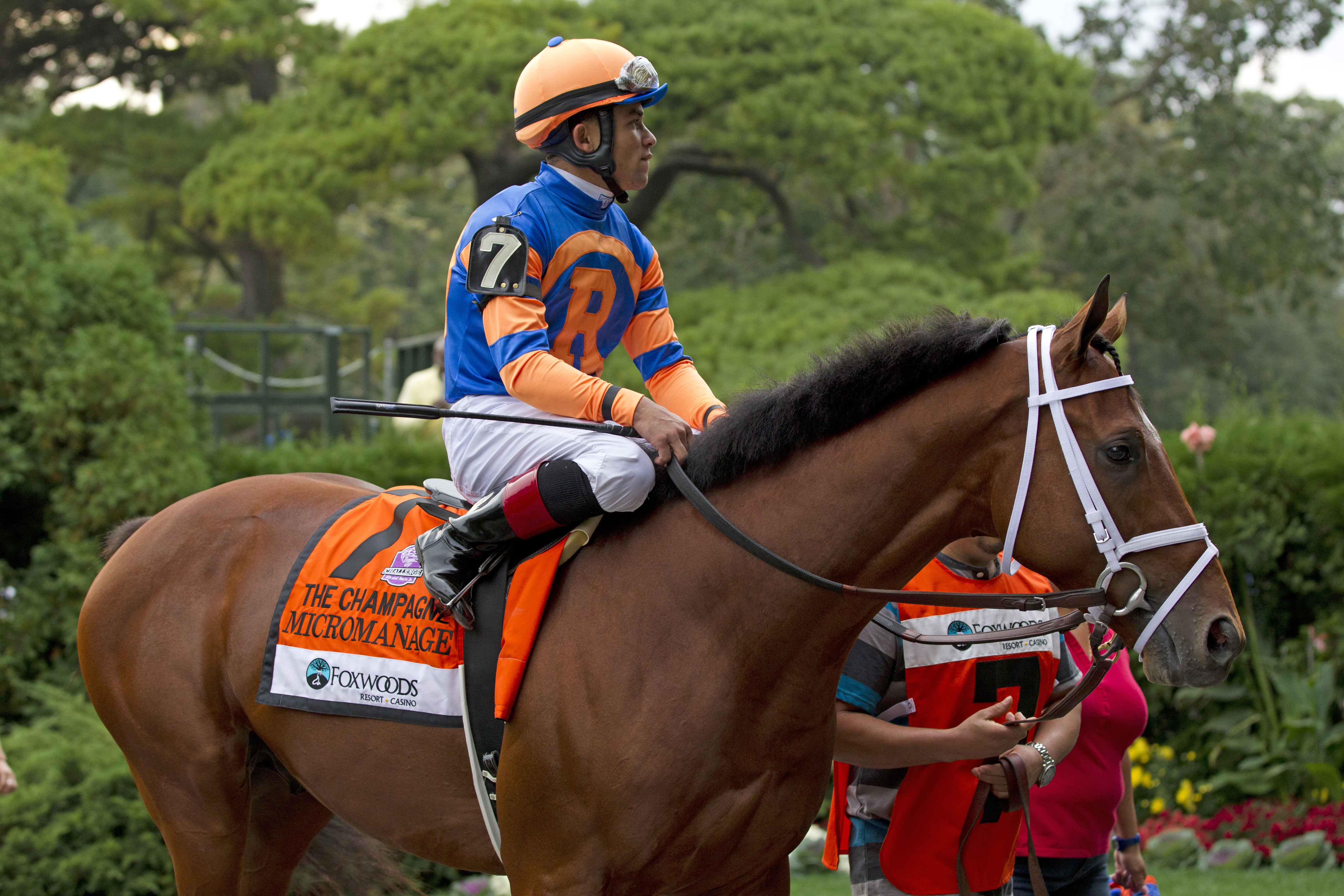 Aqueduct: Remsen looks like day's biggest handicapping puzzle