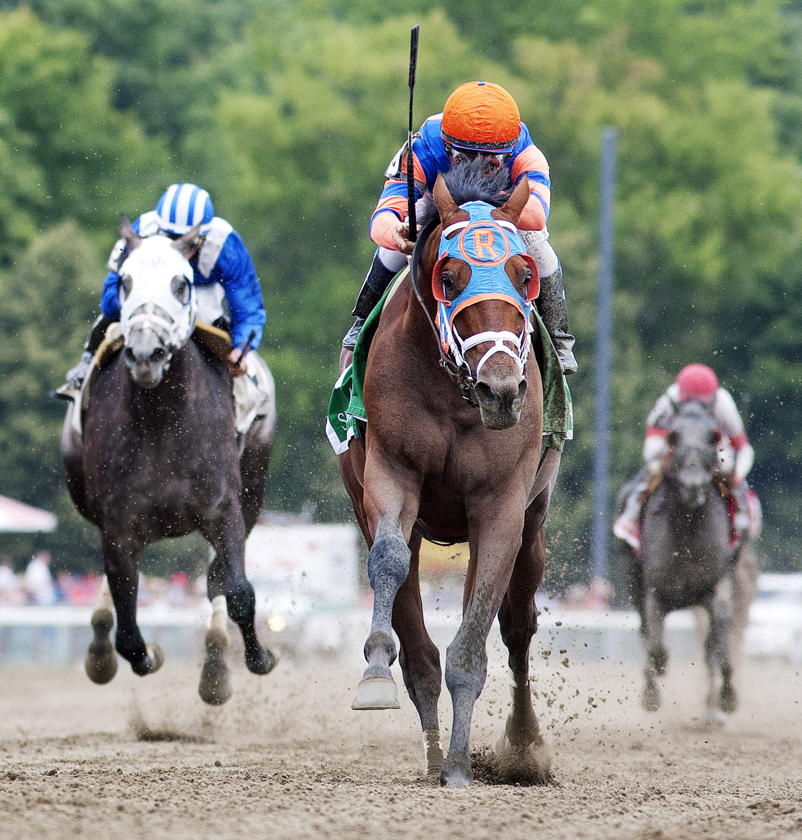 Micromanage wins the 2014 Birdstone