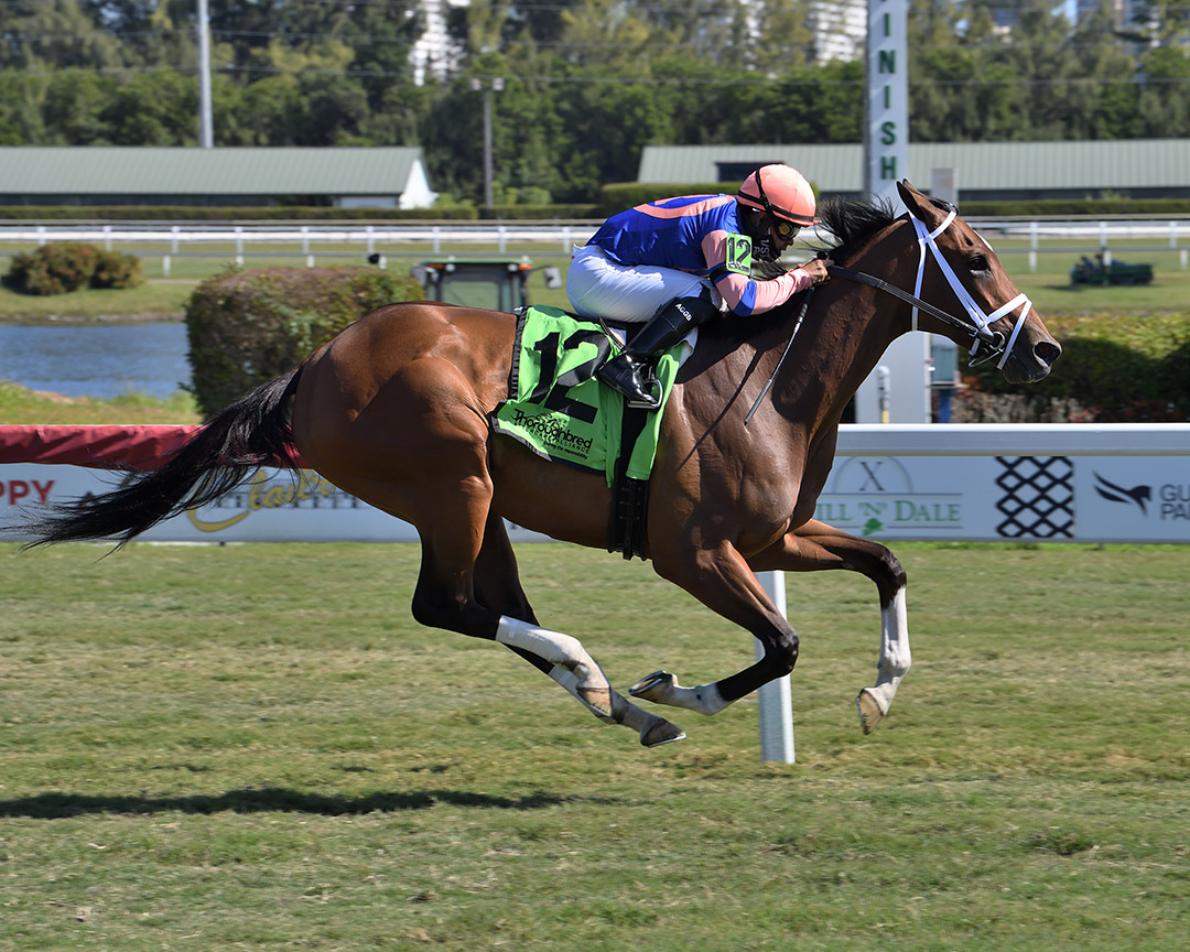 Microsecond wins a Jan. 23 first-level allowance at Gulfstream Park