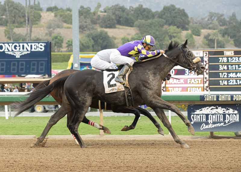 Midcourt wins the 2019 Comma to the Top Stakes